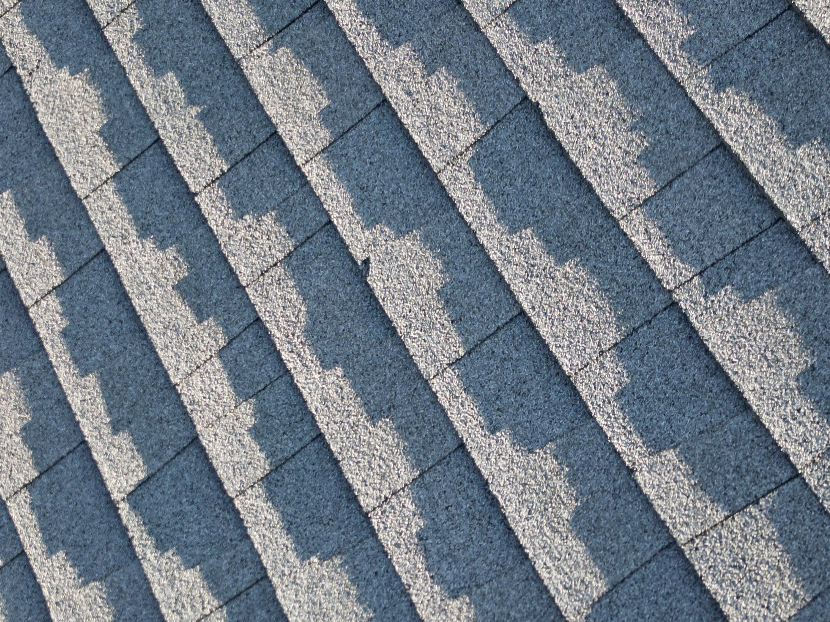 Complete Roof Replacement with Chimney Flashing, Gutter Guard System, and Vinyl Siding Repairs by Mighty Dog Roofing of Greater Middlesex County