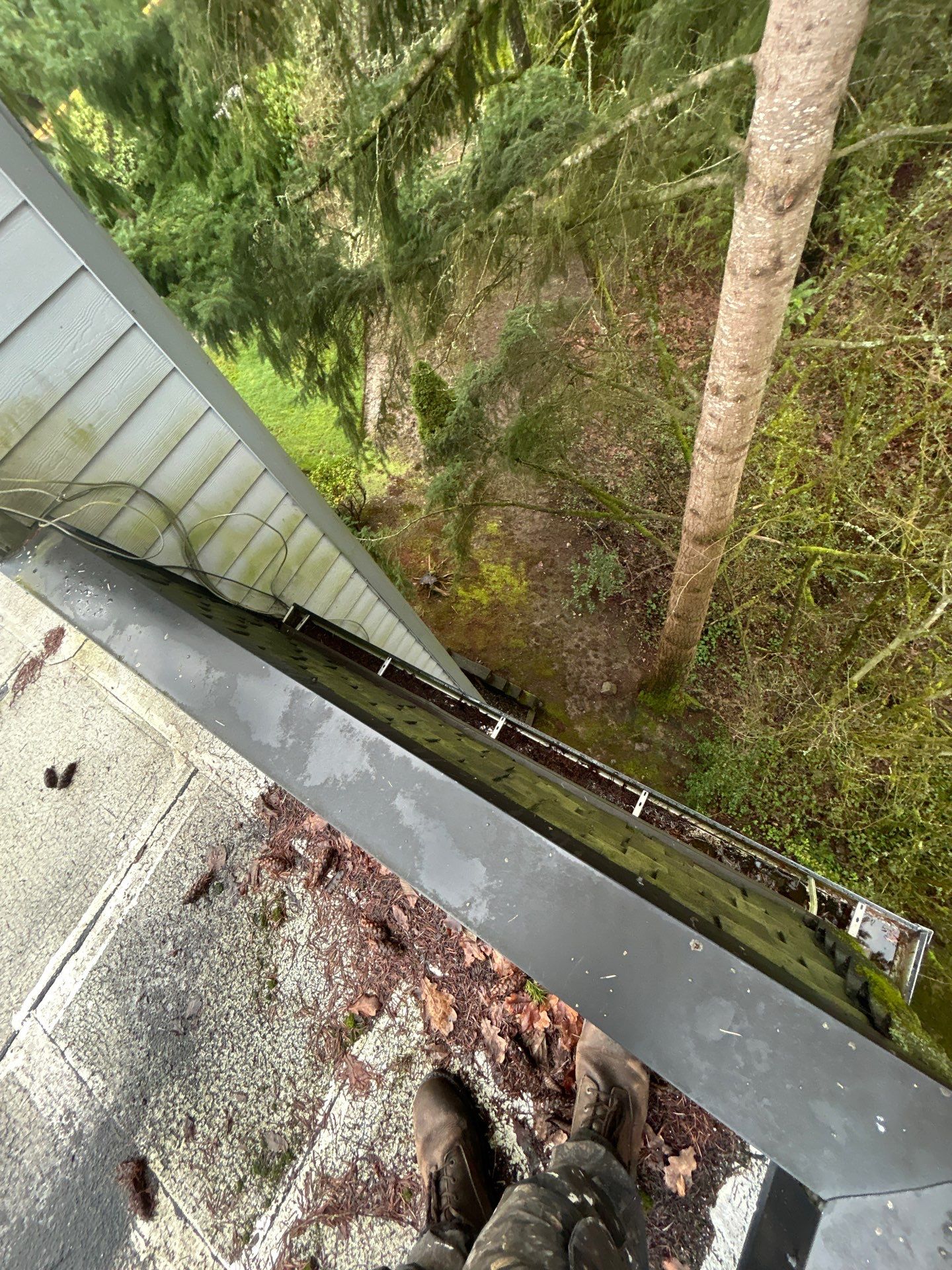 Project in Kirkland by Peaks and Valleys Construction