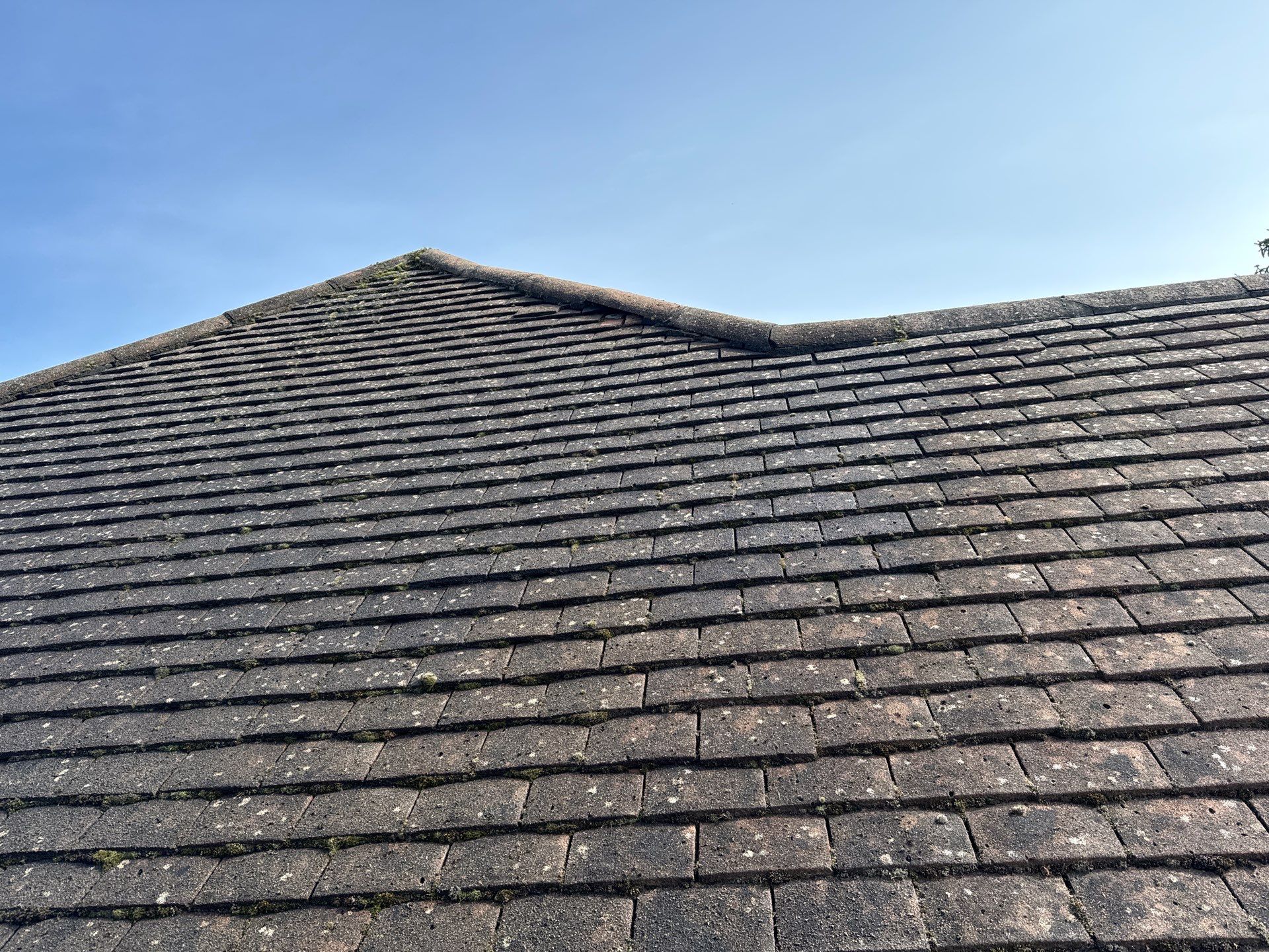Exterior Clean - Roof - Patio - Driveway using honda 21 ltr/min by Ges Exterior Cleaning ltd
