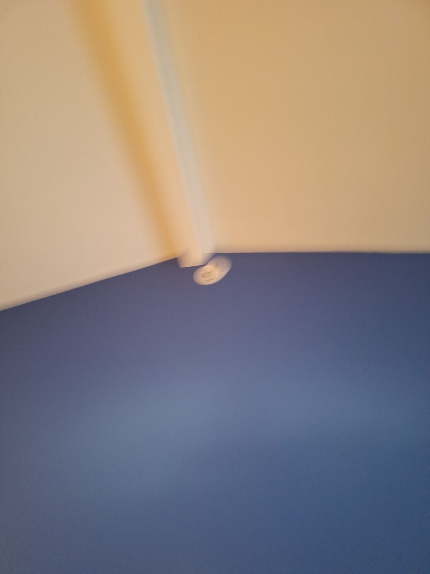 Ceiling Painted by Gordon Painting