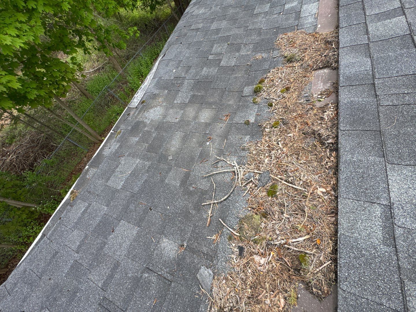 Full Roof Replacement & Rear Porch Makeover – A Stunning Transformation! by Sensible Home Solutions