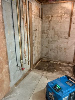 Mold Remediation — Bonita Springs, FL