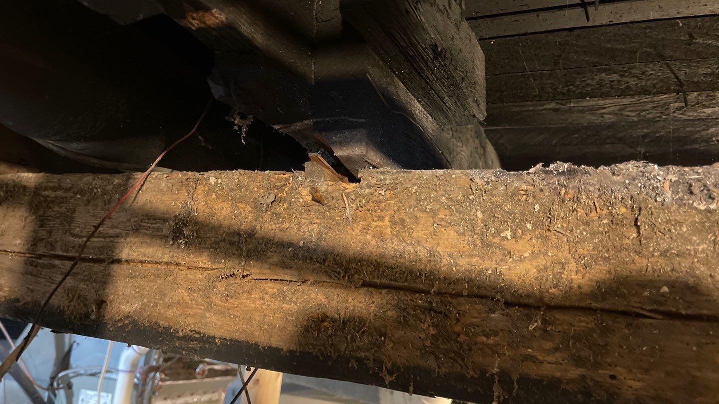 Basement Structural Carpentry by Toledo Basement Repair