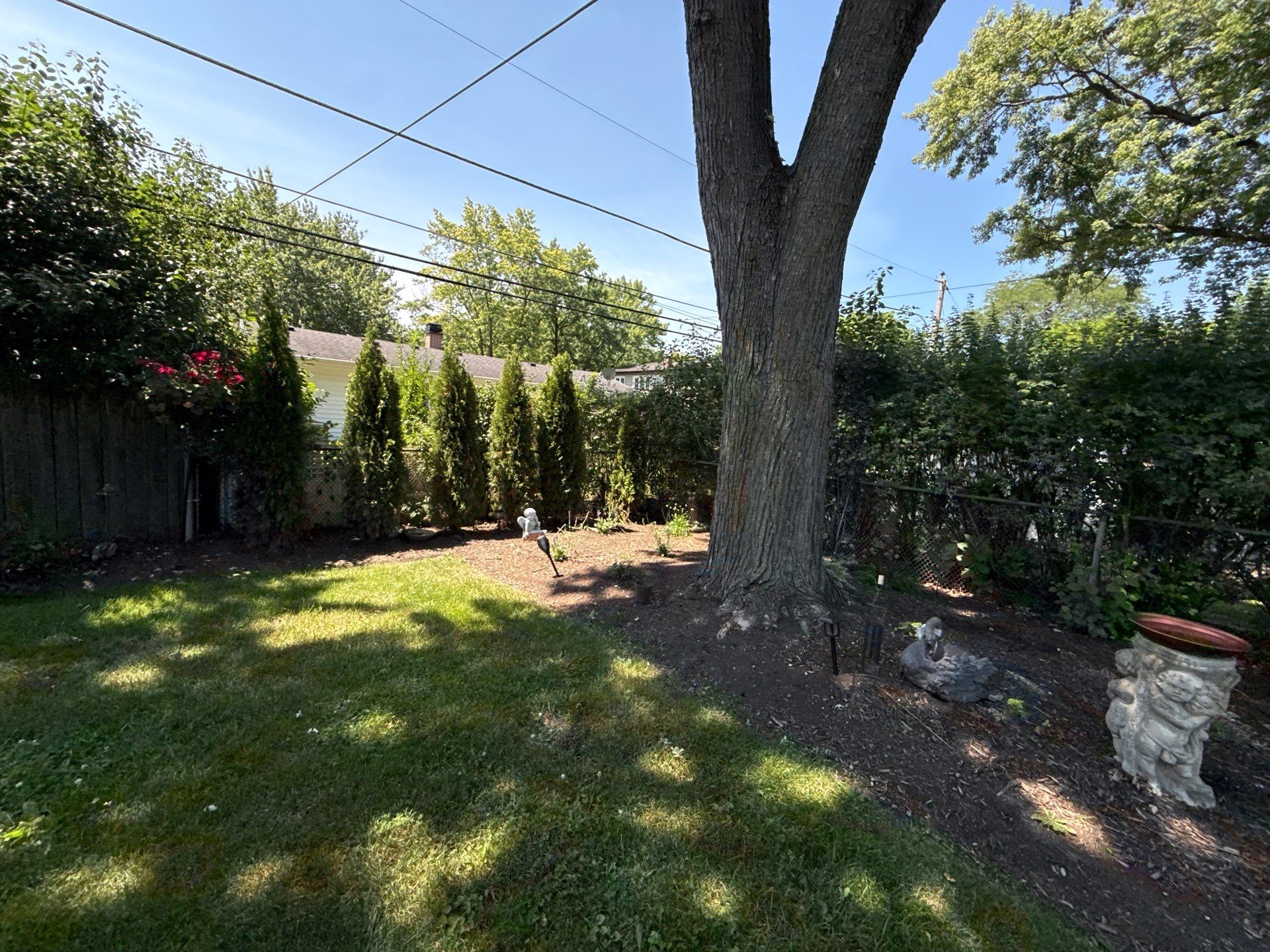 Gina K. - Mount Prospect, IL by A&N 