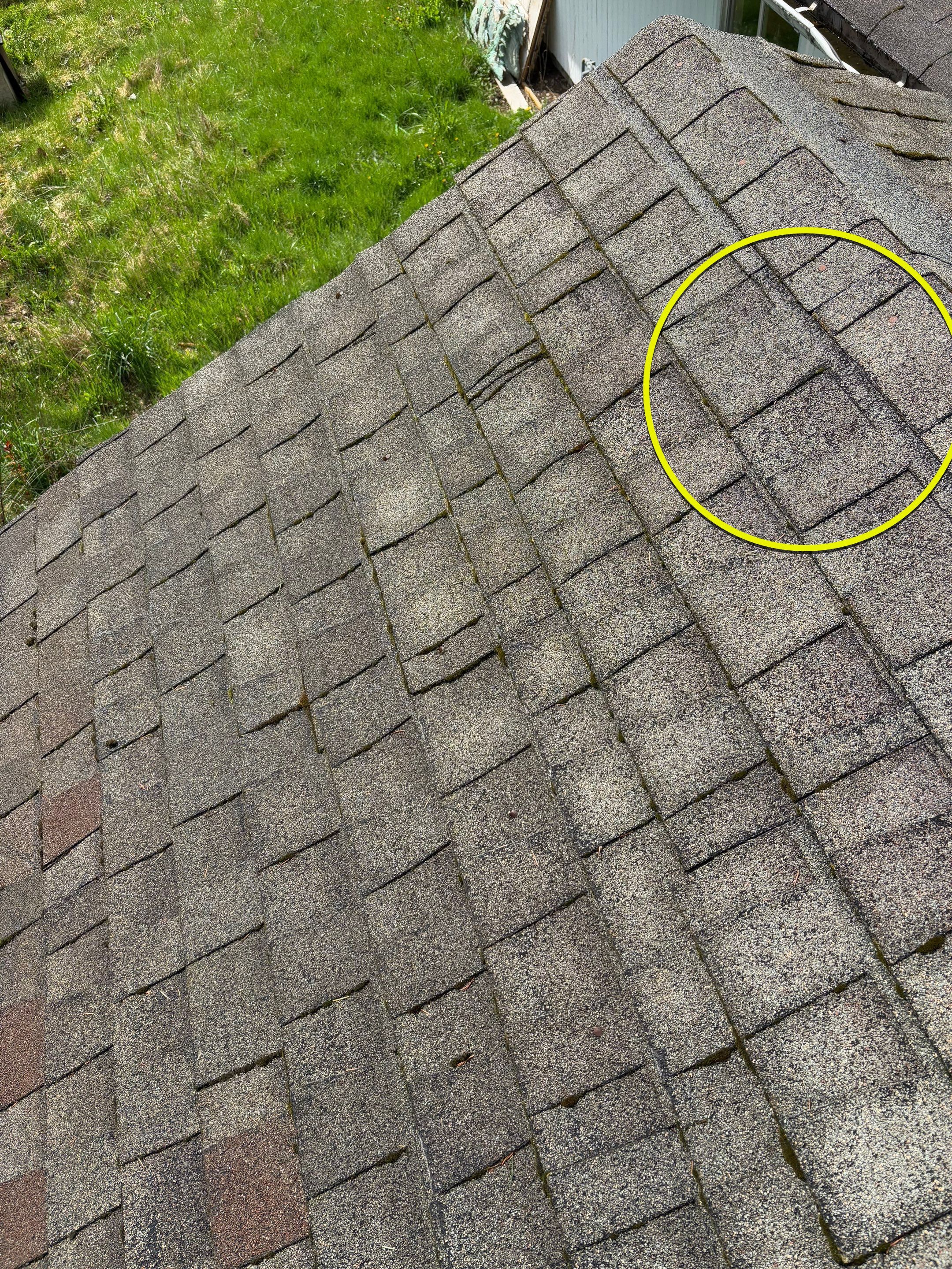 GAF Timberline HDZ, Shakewood by Proline Roofing & Restoration LLC