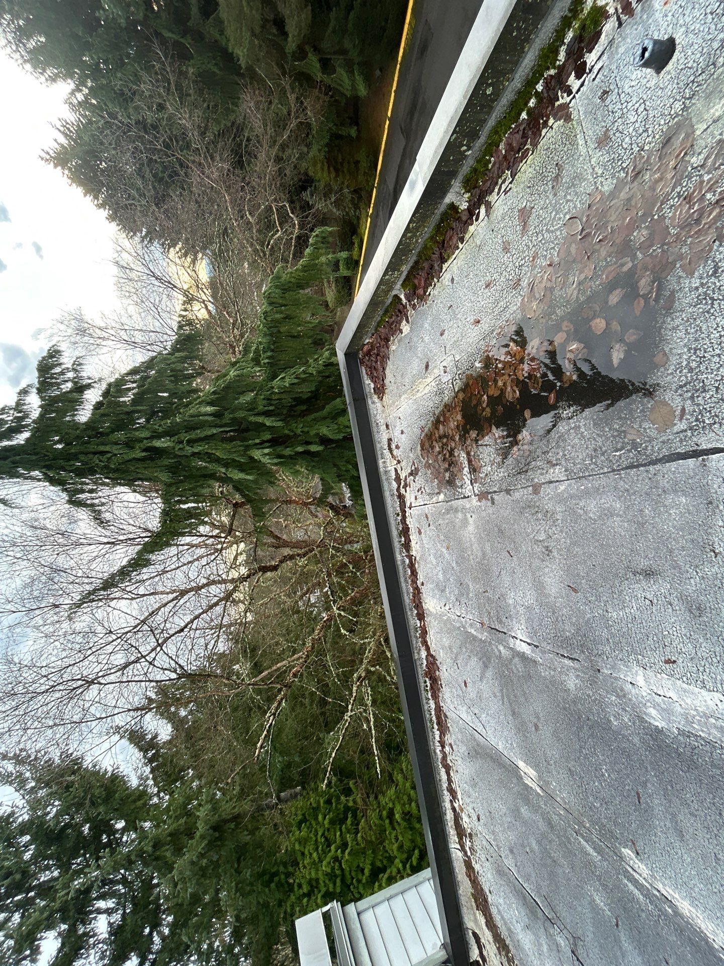 Project in Kirkland by Peaks and Valleys Construction