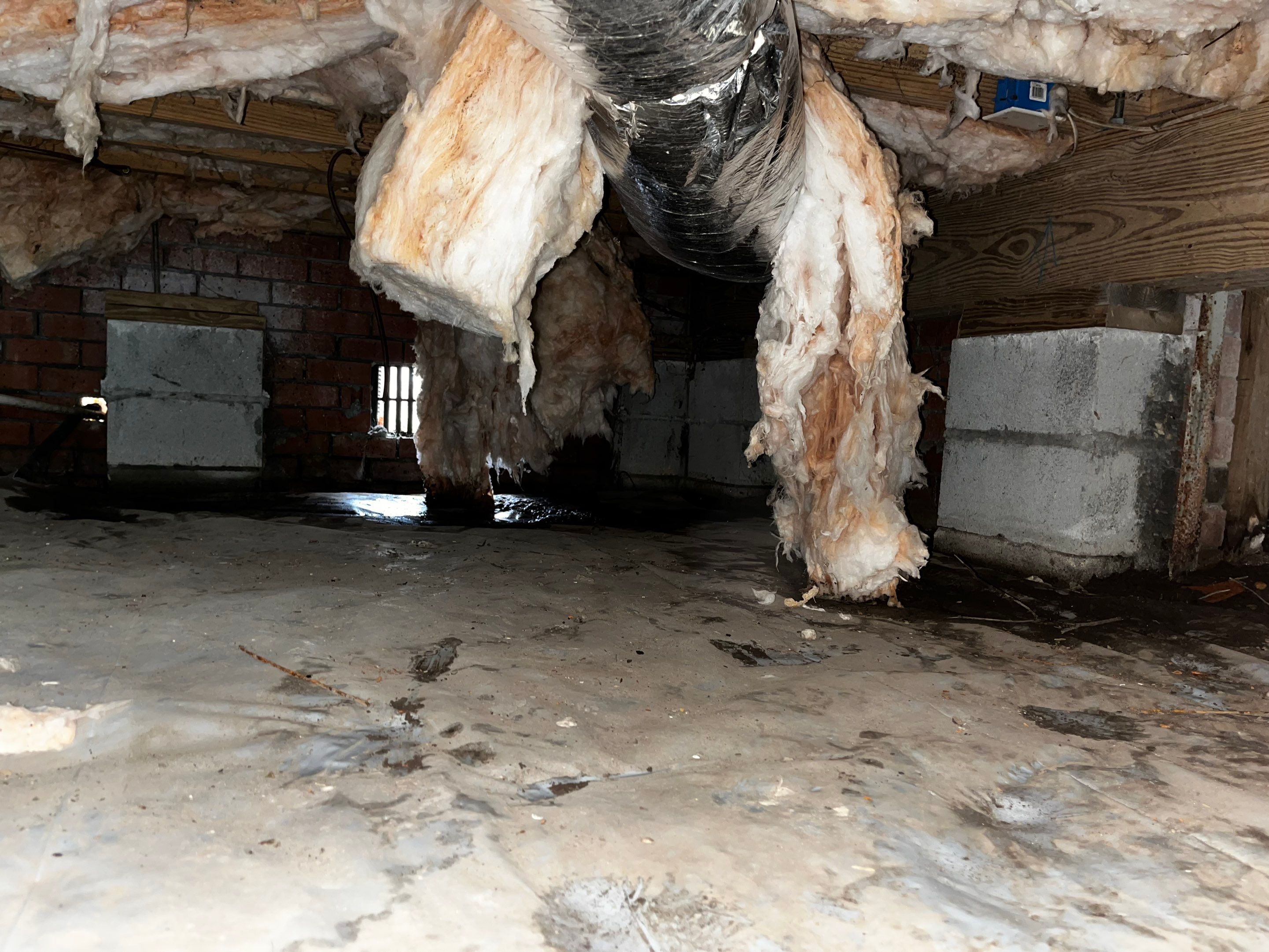 Impact Choice Encapsulation with French Drain and Crawlspace Doors by Impact Crawlspace