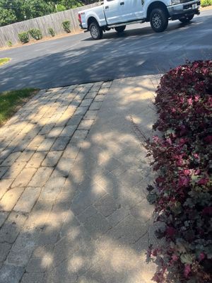 Brick paver clean, sand and seal. using Polysweep polymeric sand