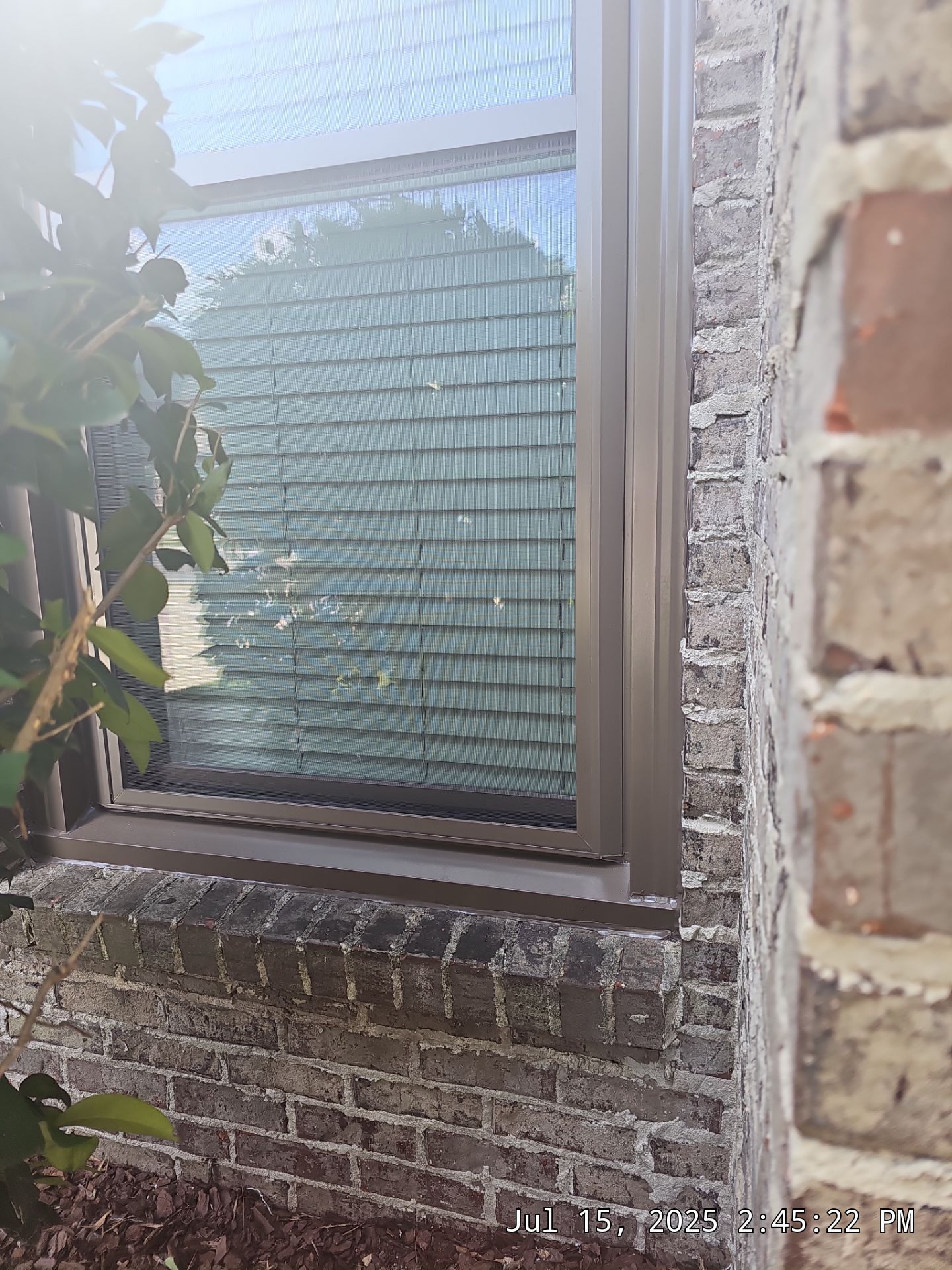 Koch Project in Birmingham by The Window Source