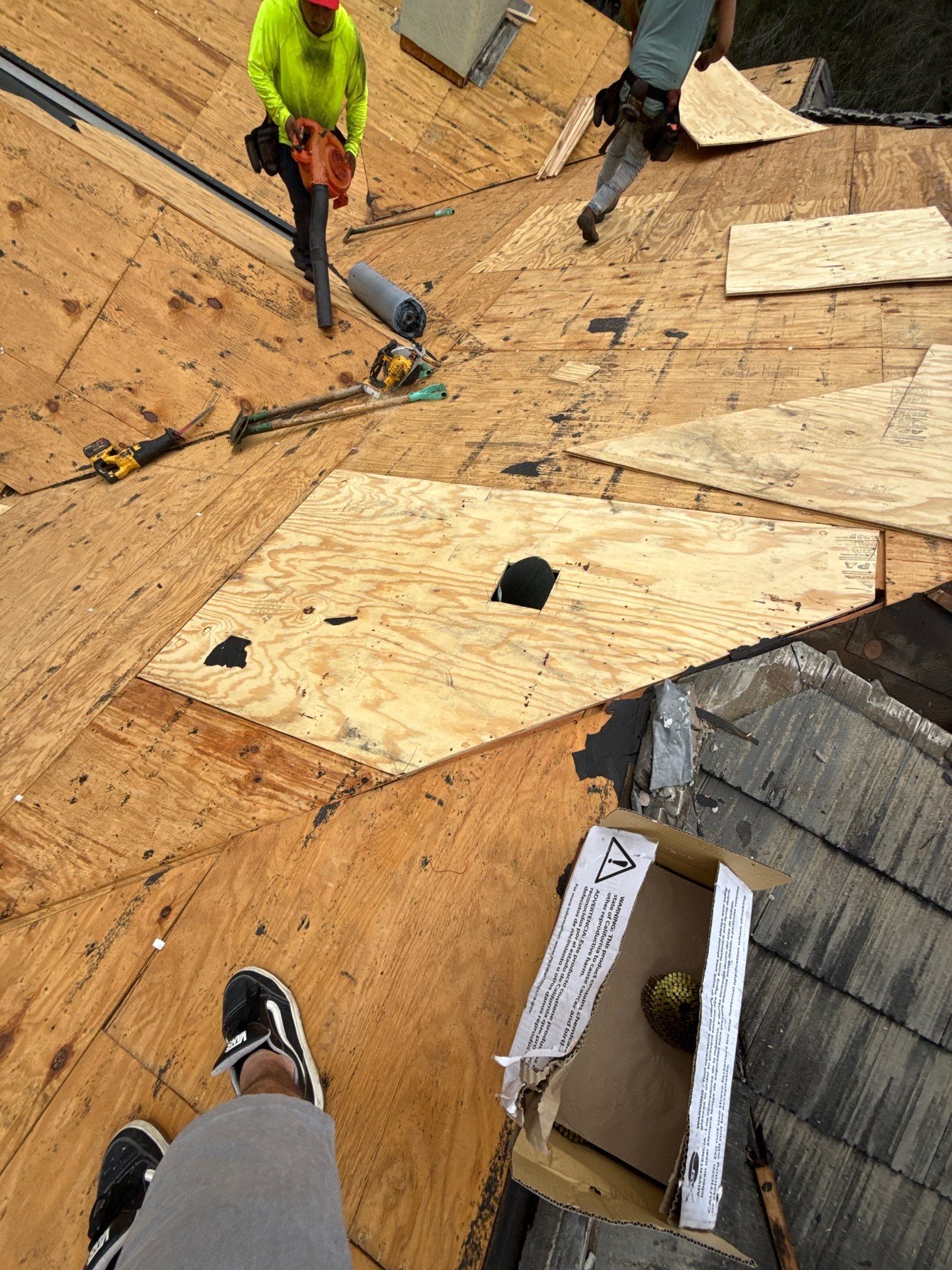 Eagle Barrel Tile - Lake Mary Florida  by David Patrick Roofing