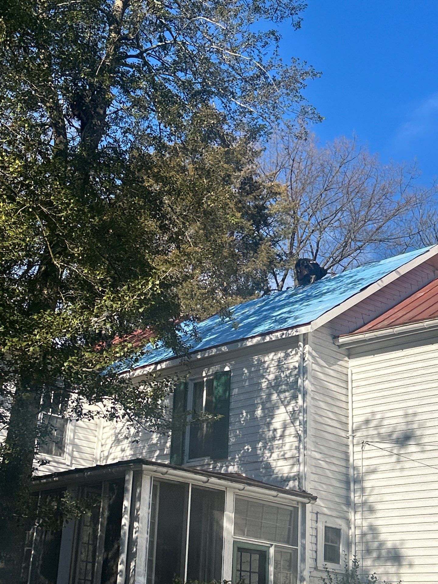 Alexandra: Residential Metal Roofing  by RM Banning, Inc.