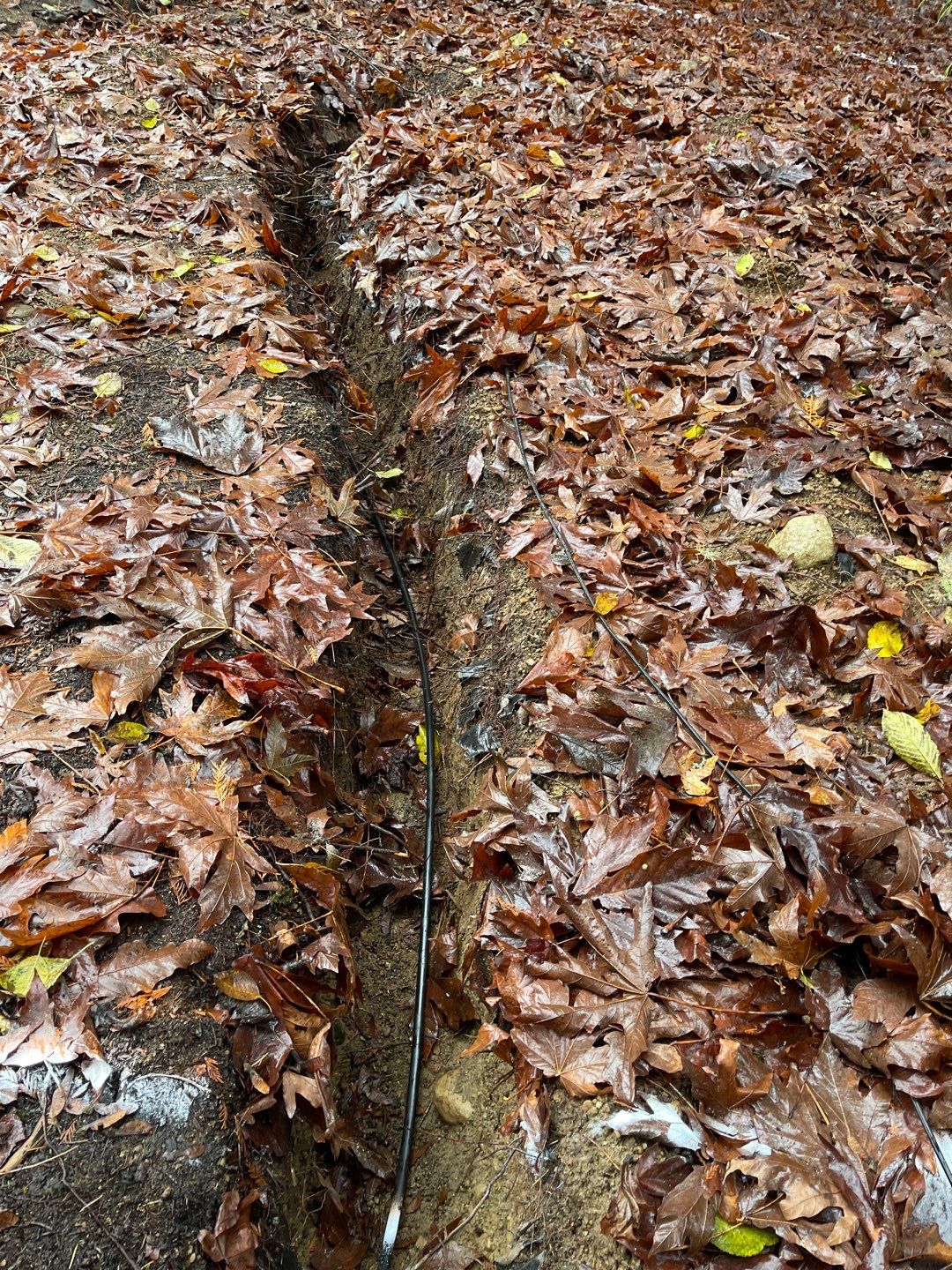 Asphalt Driveway Repair | Woodinville  by Jireh Asphalt & Concrete Inc 