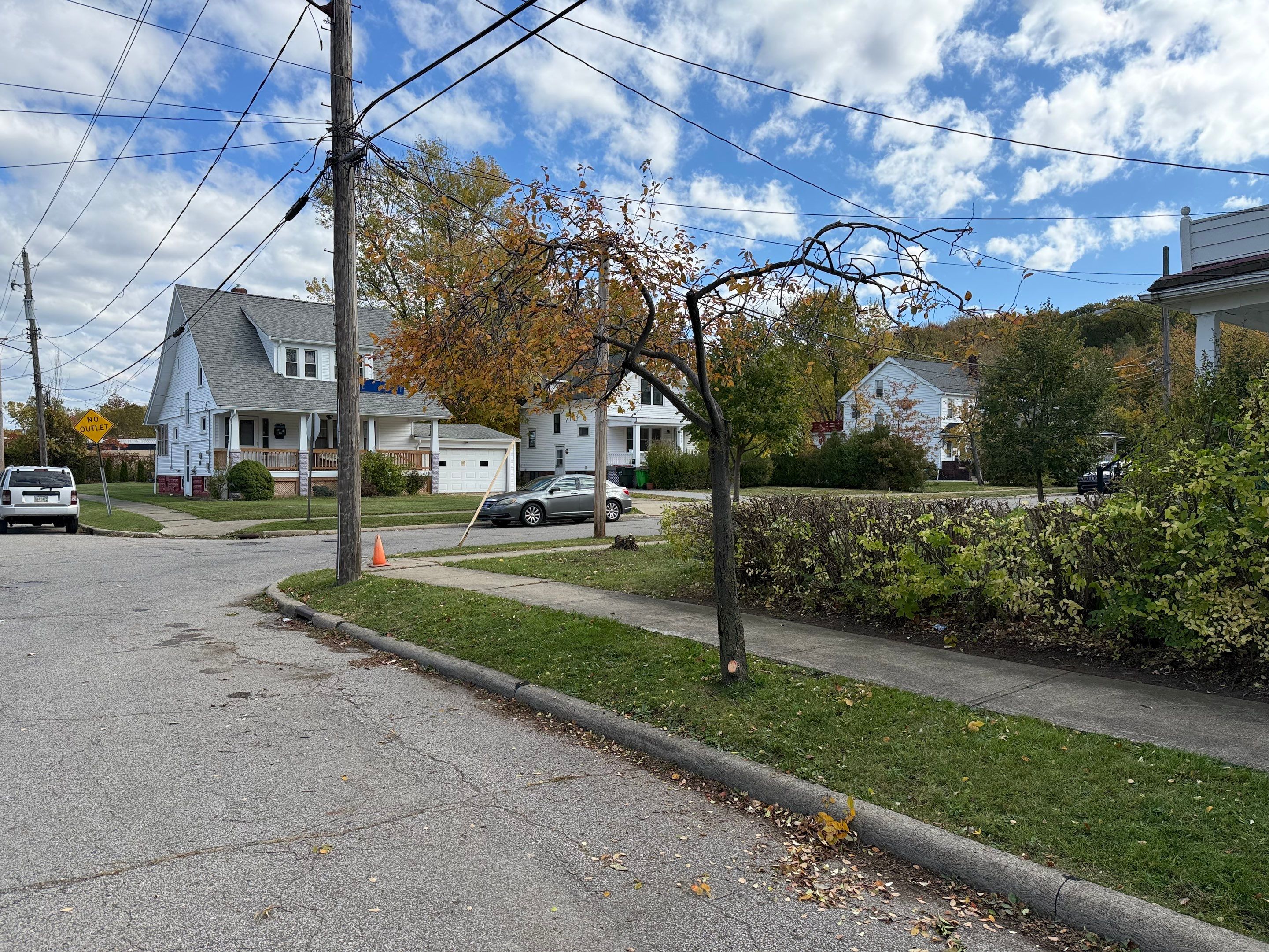 Hedge Shaping Maintenance by Elm Rose Gardens
