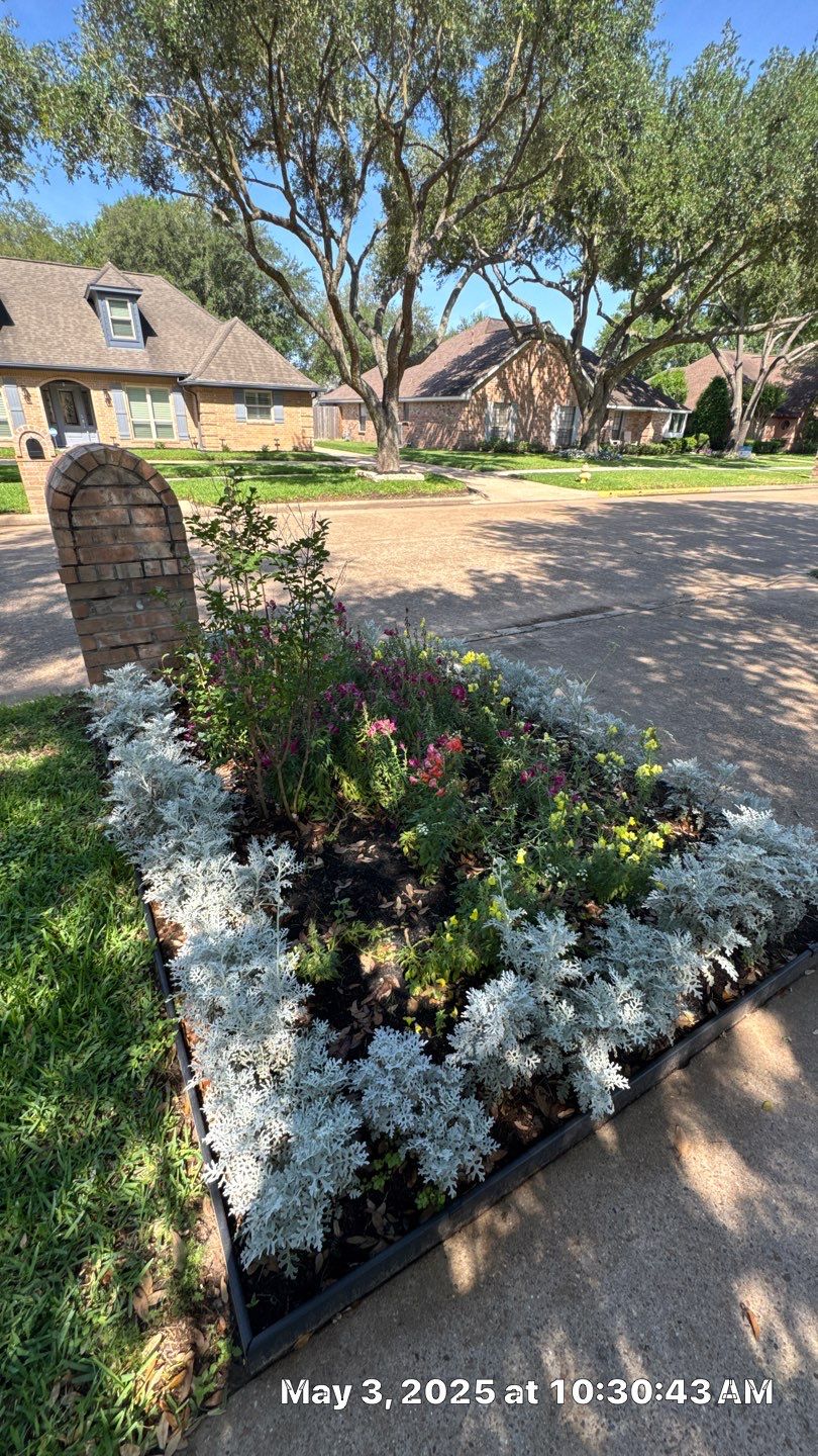 🌿 Torey’s Front Yard Transformation by Texas Urban Elements