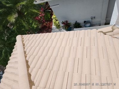 Tile Roof Repair in Boca Raton – Professional, Timely, and Reliable Service