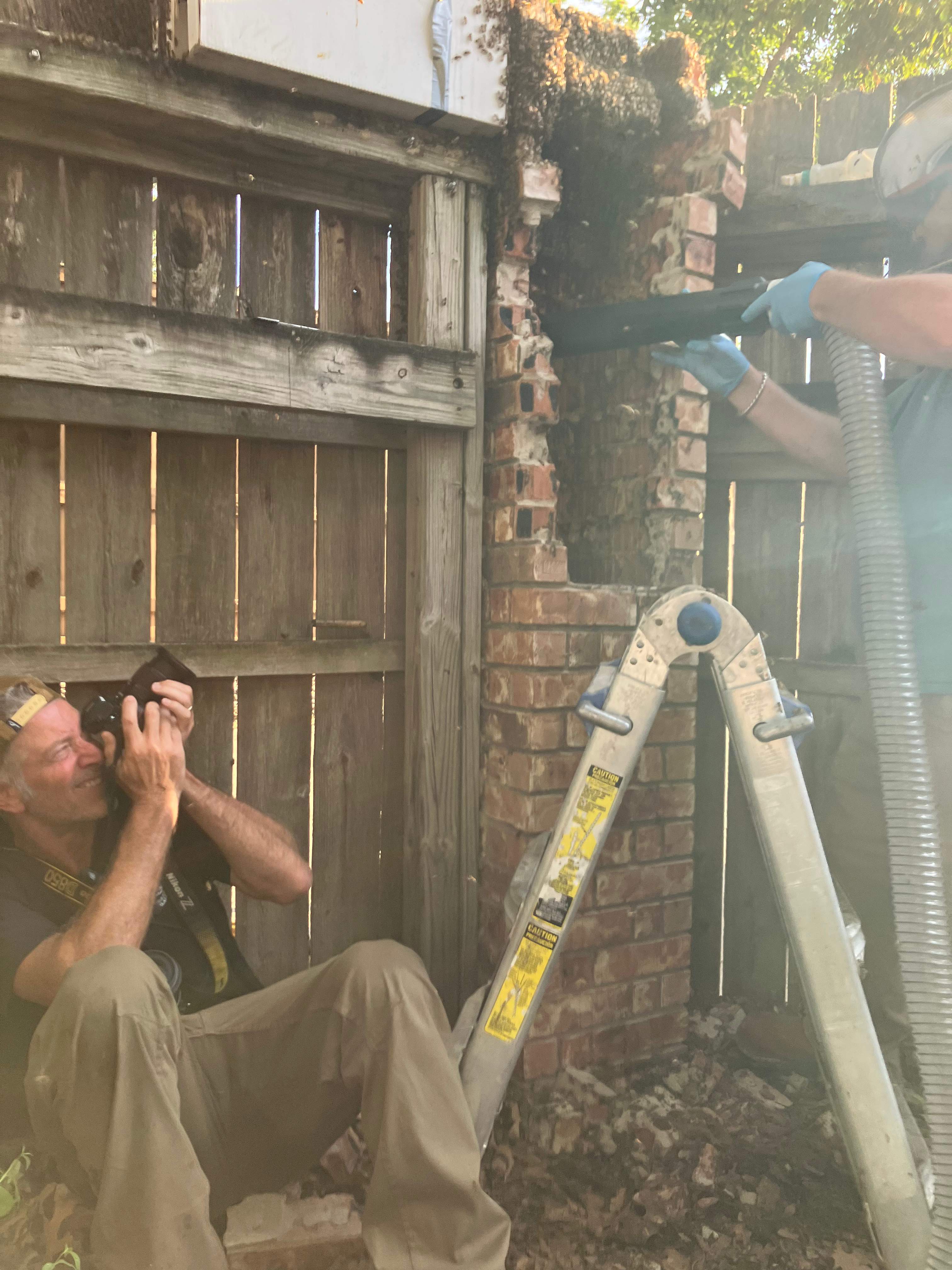 Brick Column by Rockwall Honey Bee Company