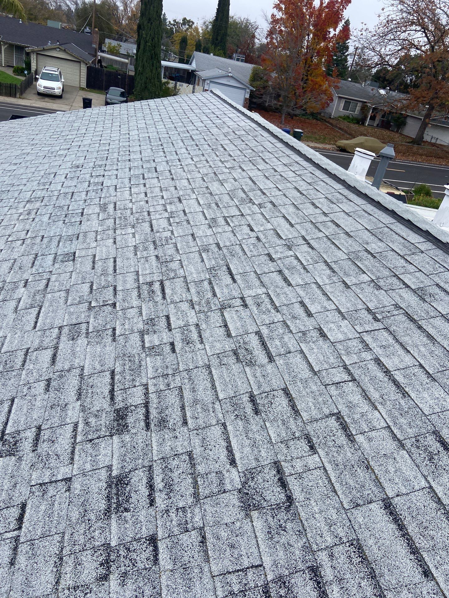 Roof Rejuvenation using Roof Maxx Treatment by Roof Maxx of Folsom