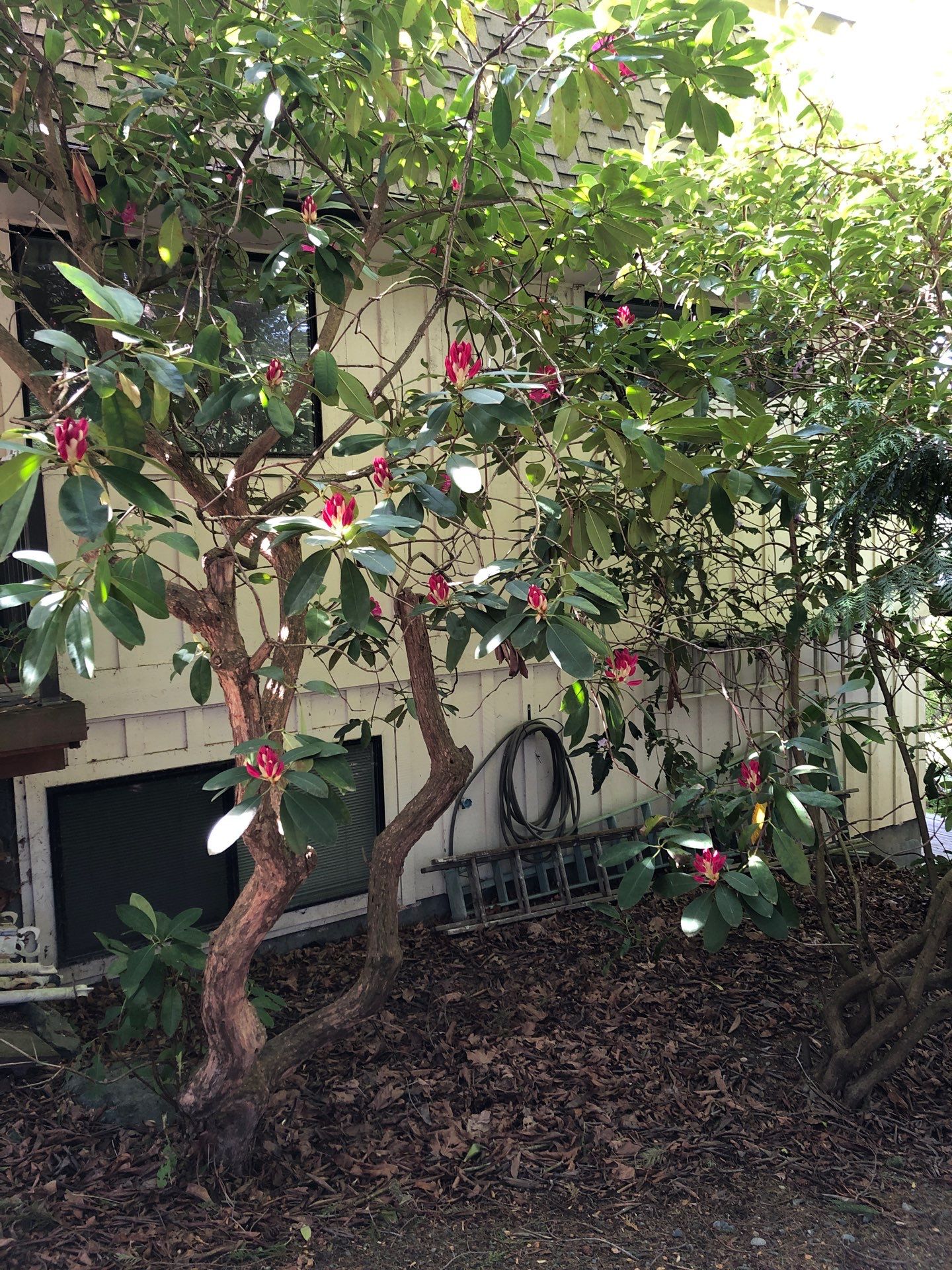 Project in Mount Vernon by Connolly Construction Company