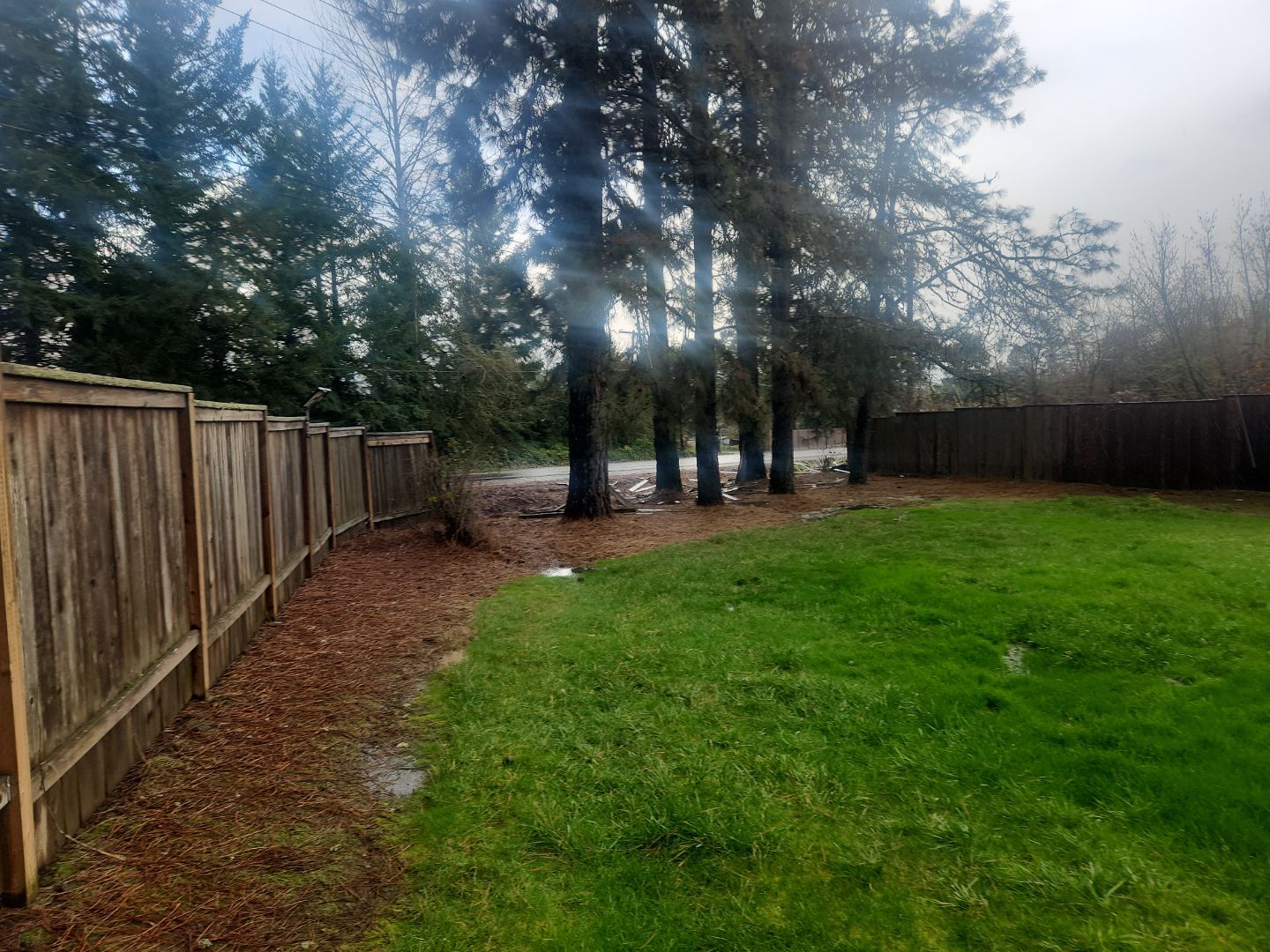 Hillsboro Fence Repair by Paul Schopp