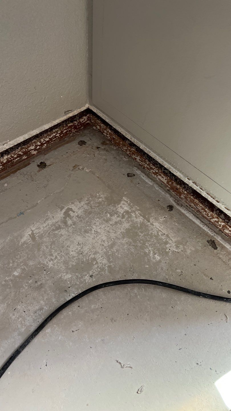 Mold Remediation  by Accountable Home Services