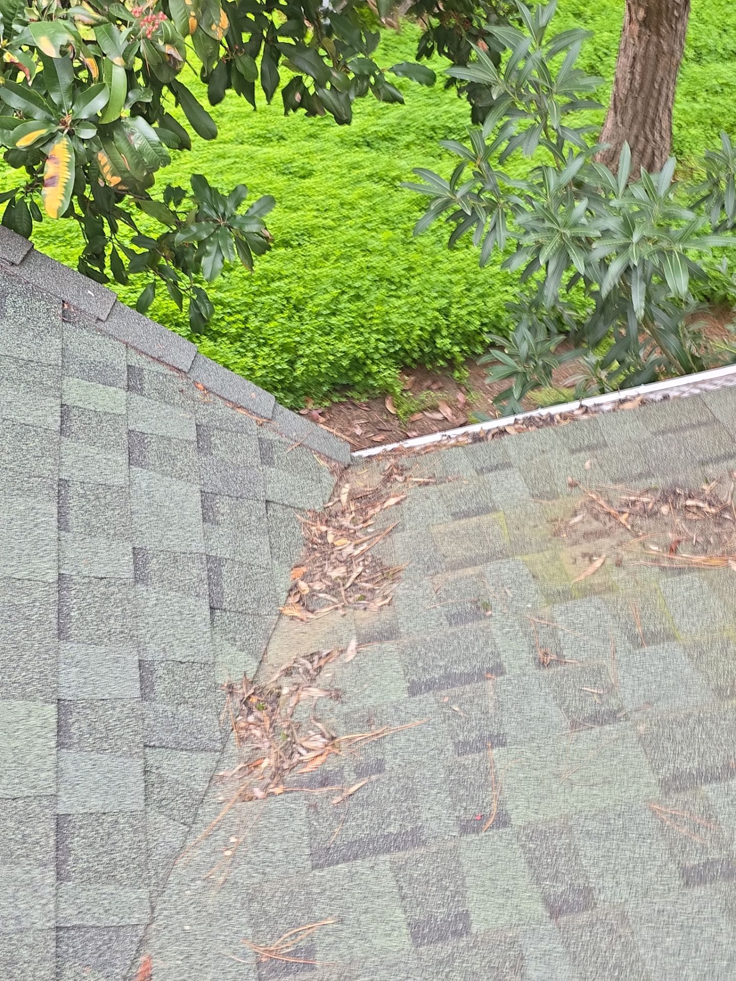 Roof Rejuvenation using Roof Maxx Treatment by Roof Maxx of Folsom