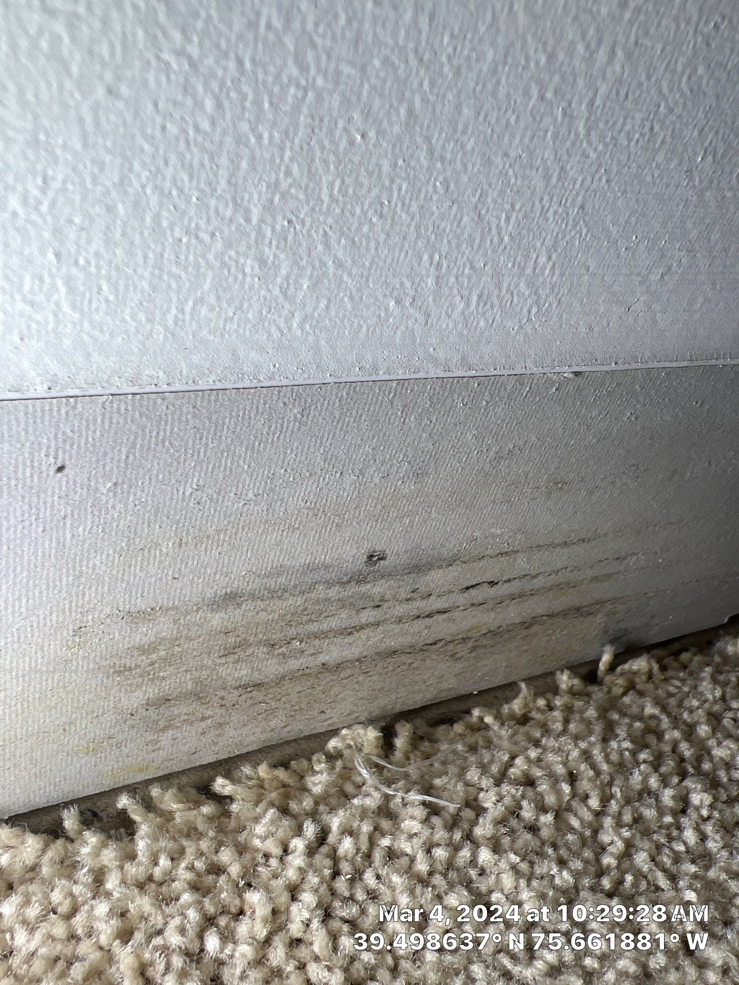 Water Damage Inspection & Basement Dryout – Middletown, DE by Healthy Home Solutions