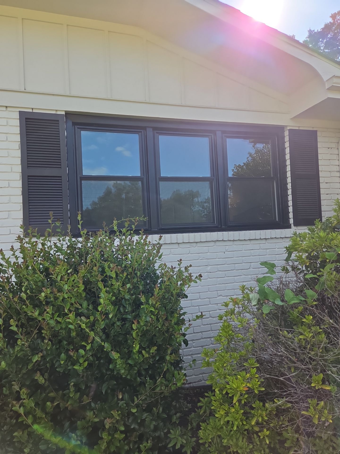 Taylor Project in Hoover by The Window Source