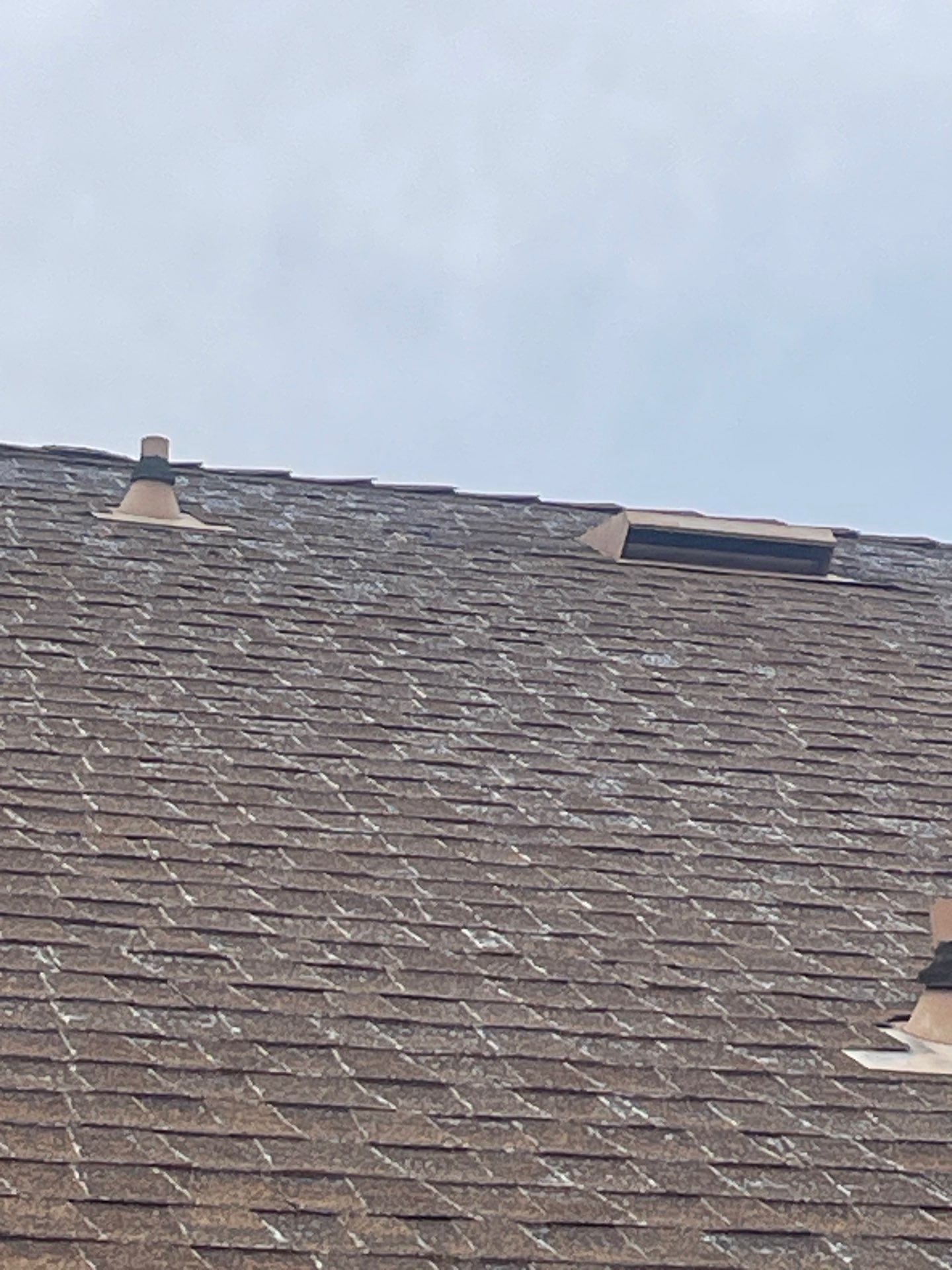 Roof Rejuvenation using Roof Maxx Treatment by Roof Maxx of Folsom
