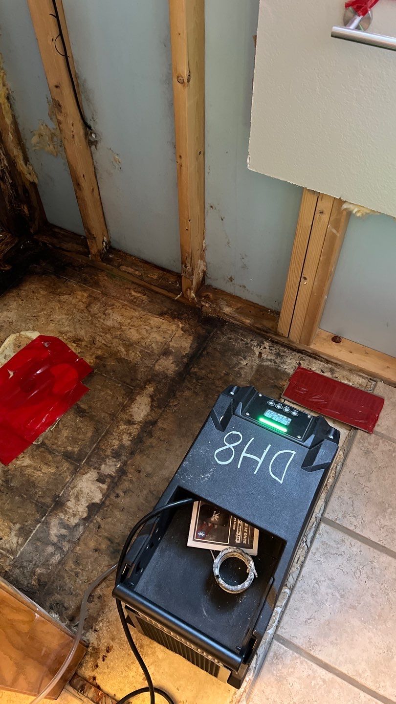 Water Damage and Mold Remediation by Accountable Home Services