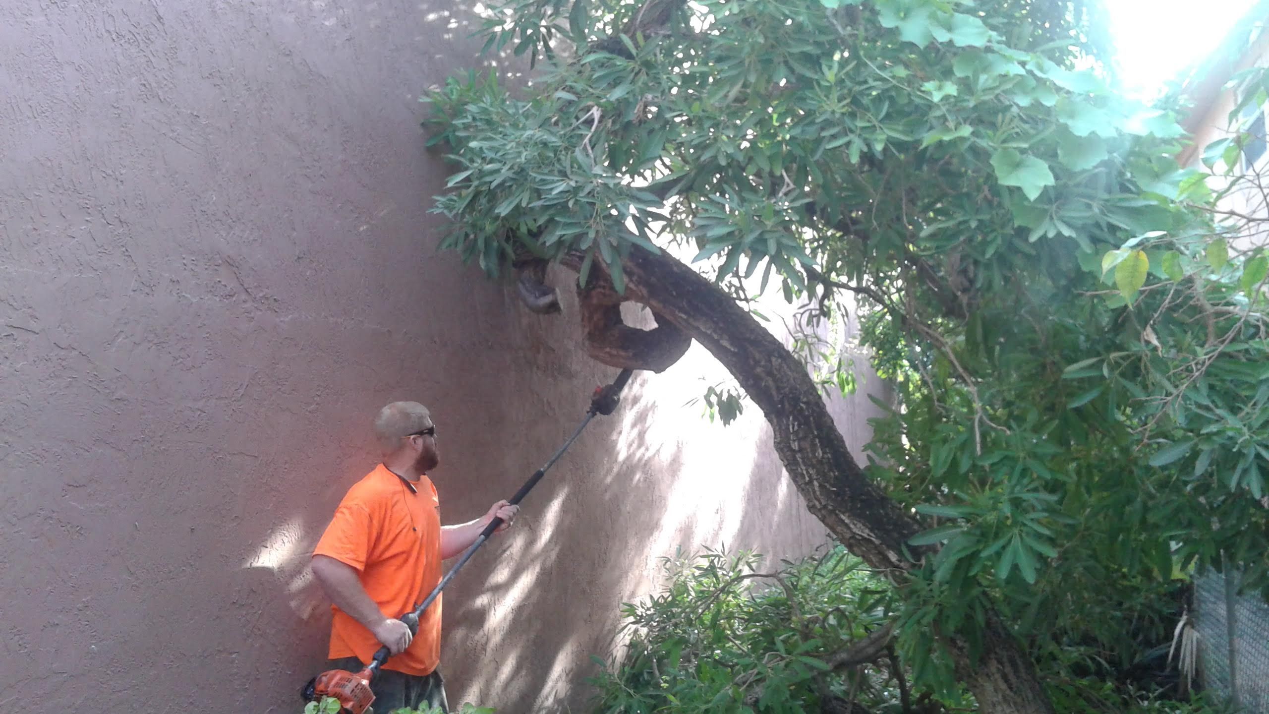 General Maintenance by
M.A.B. Landscaping & Property Maintenance