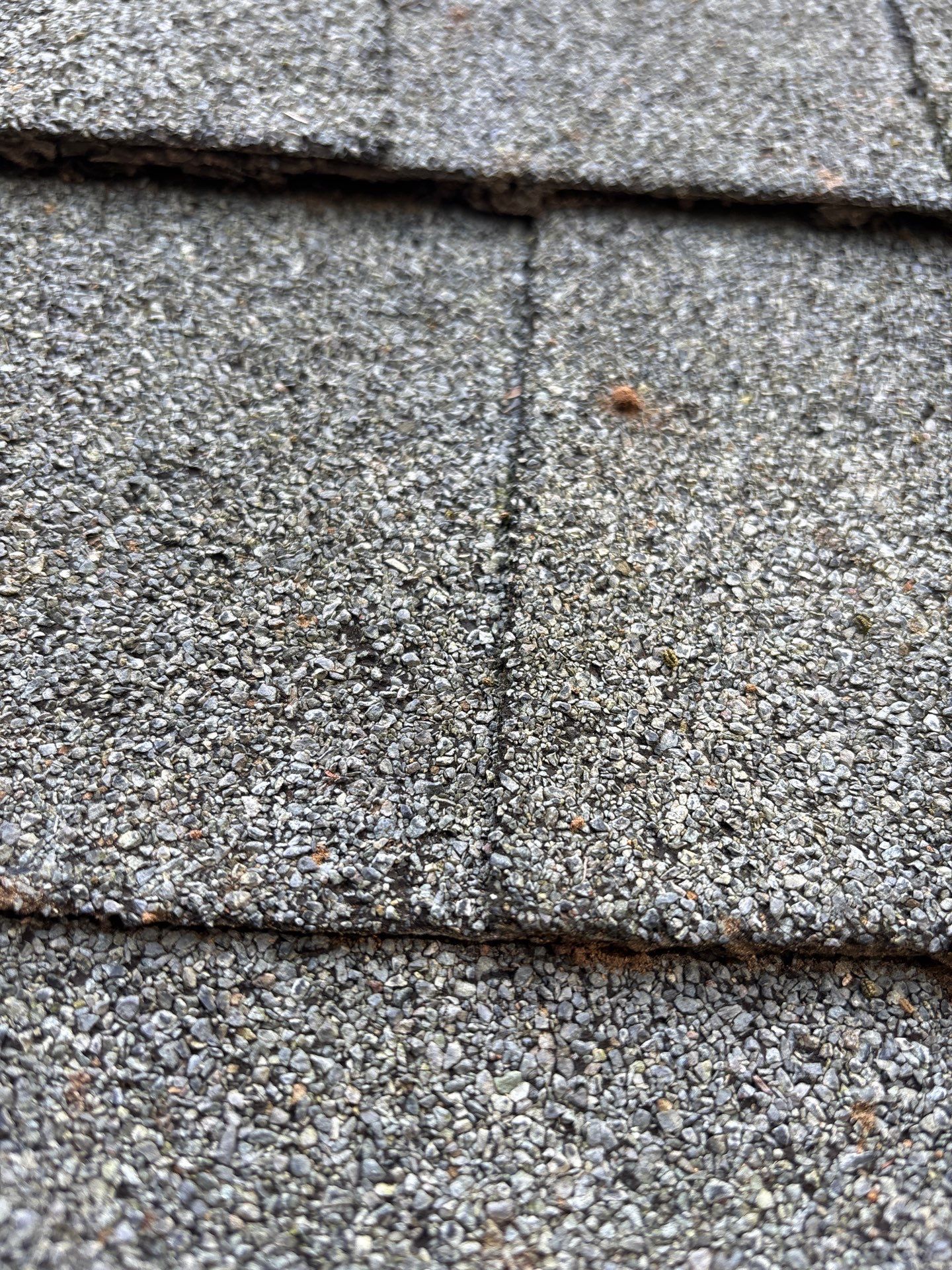 Project in Ashland by Roof Maxx of Midlothian