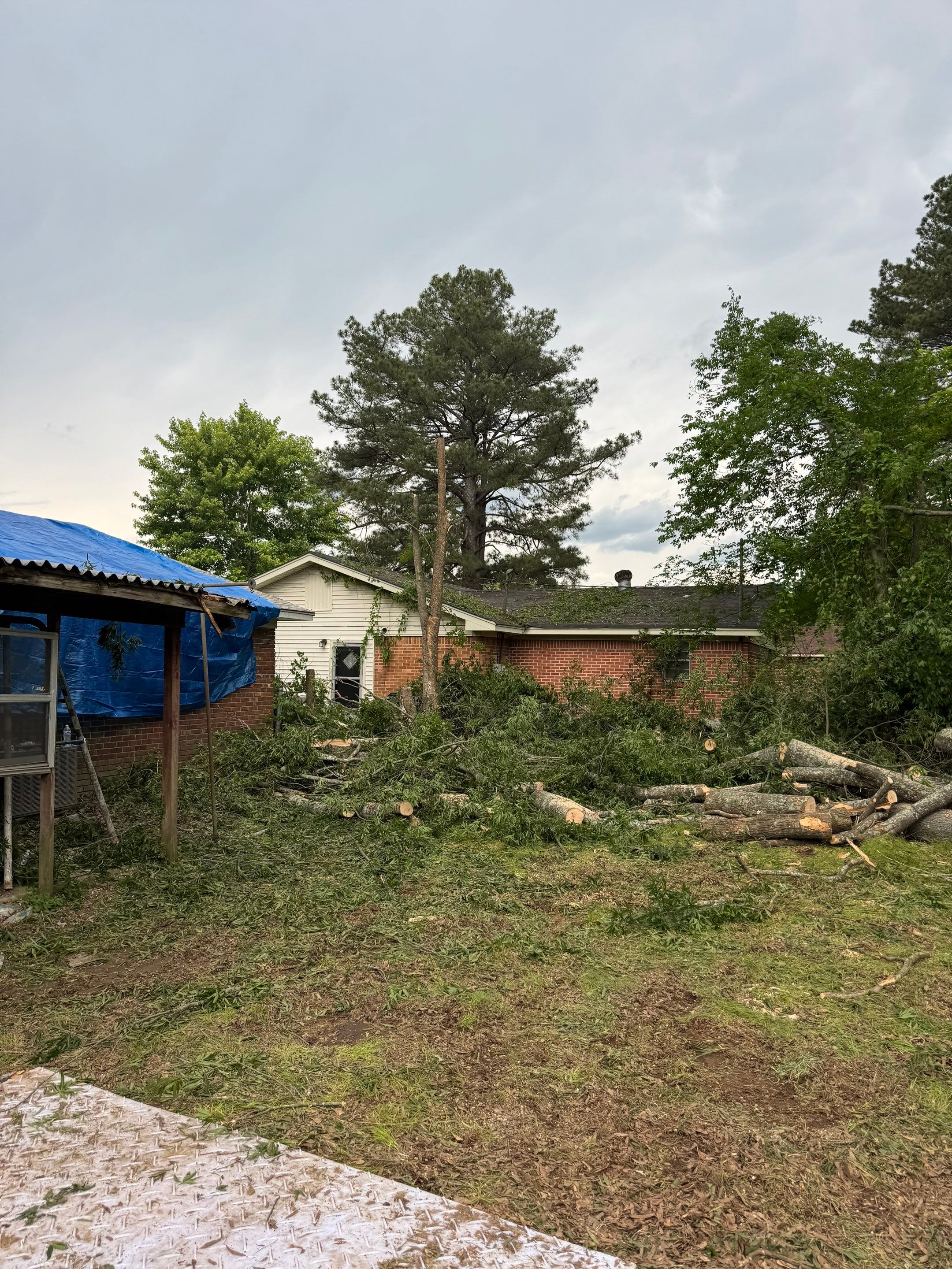Disaster Relief Using 100-Ton Crane and DinoLift by American Arbor