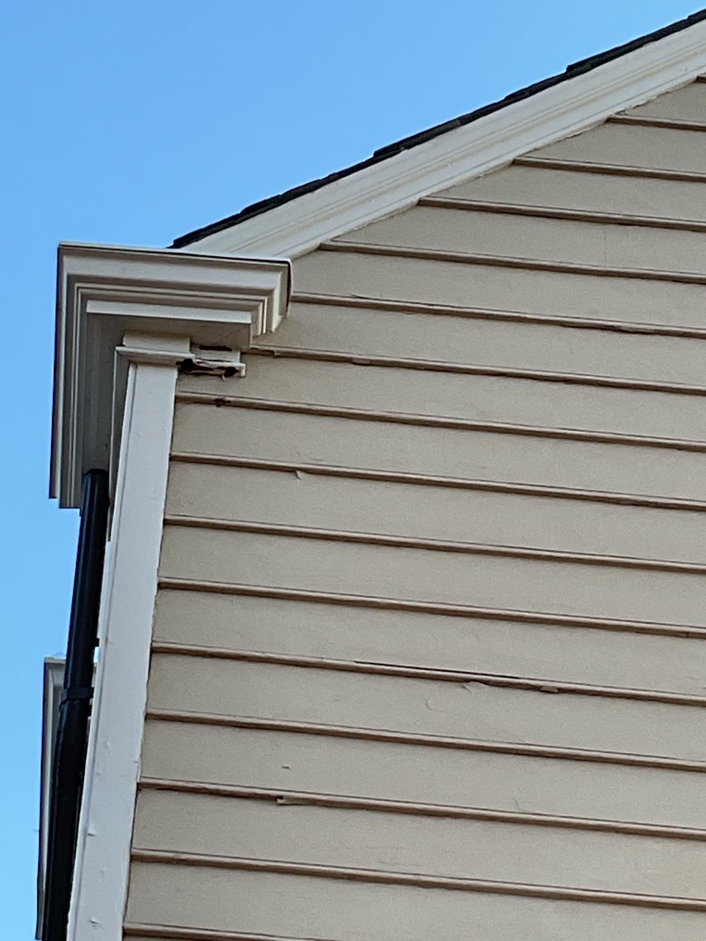 Exterior House Painting Project in Newtown, PA by Groovy Hues