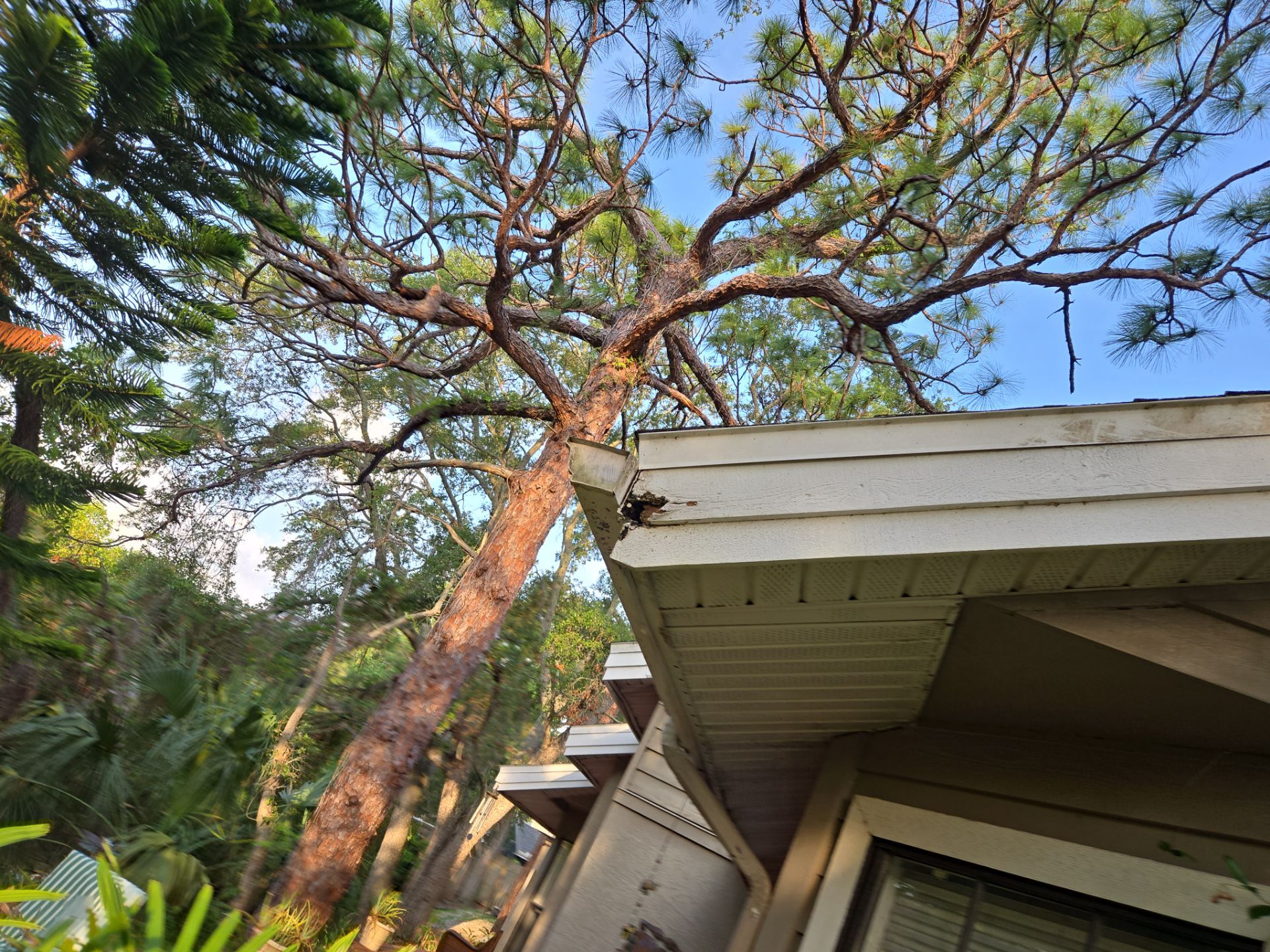 Project in Clearwater 33760 by Mitchell Roofing Company LLC 