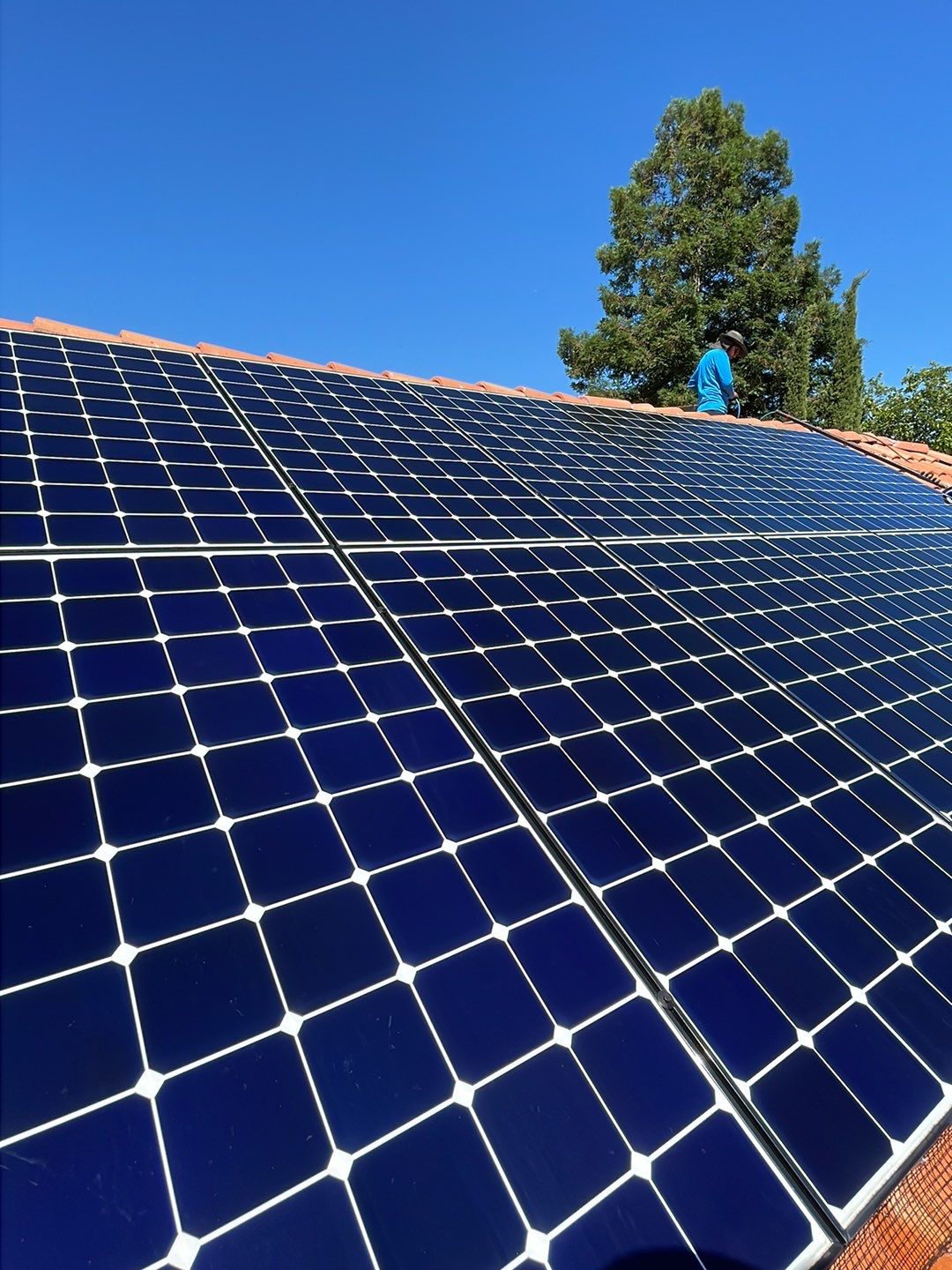 Solar Panel Bird Proofing using Critter Guard Mesh by All One Solar Shine