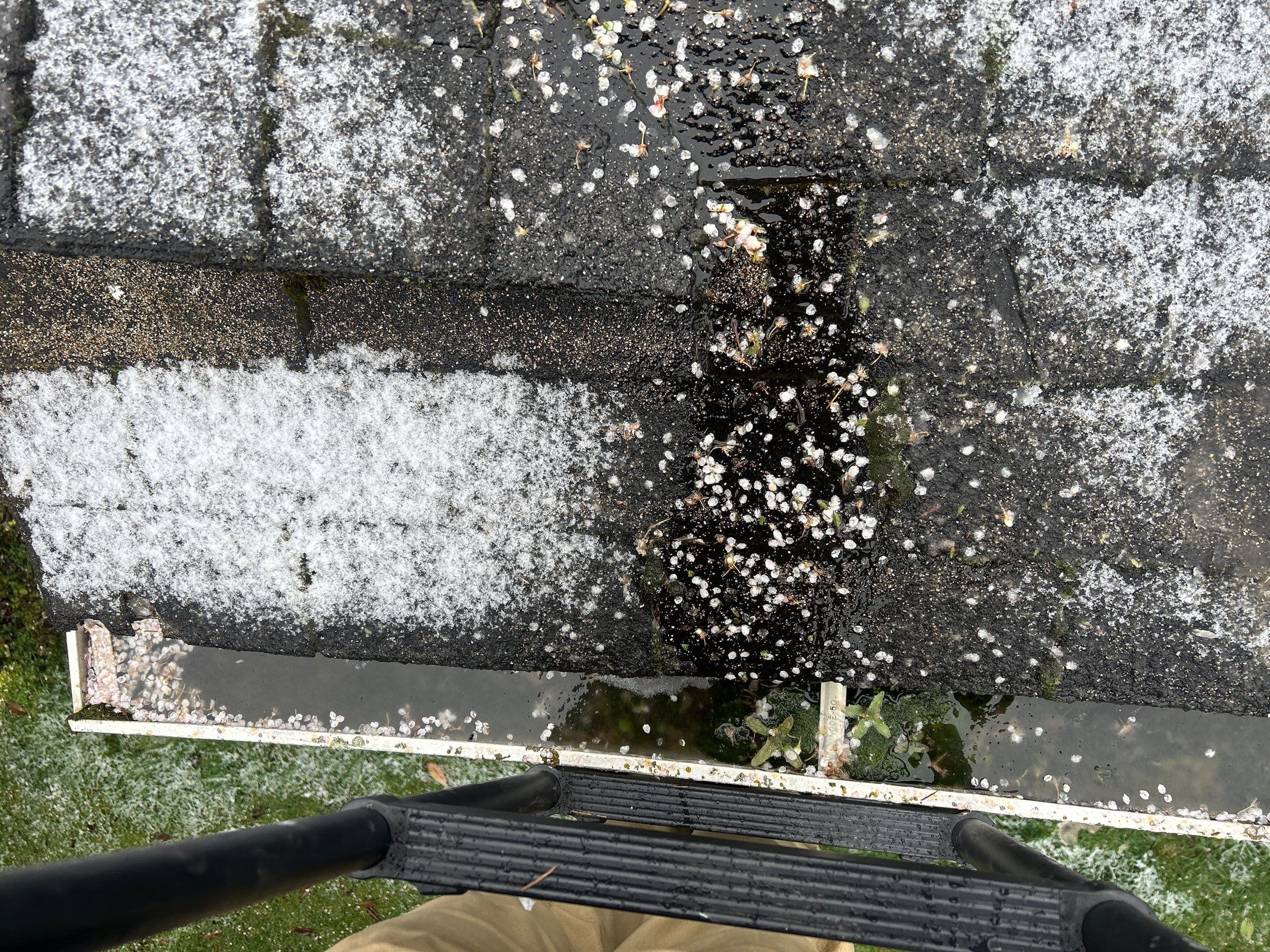 Roof in Lake Stevens by Connolly Construction Company