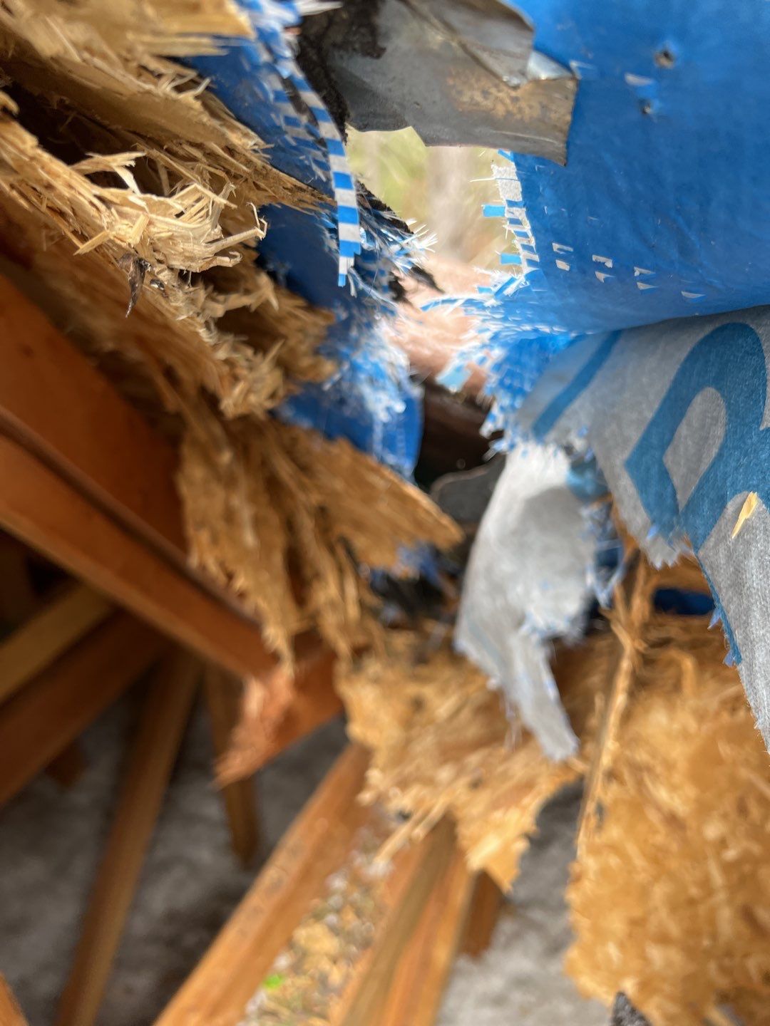 Green Snap Lock Standing Seam  by Montana Roofing Solutions