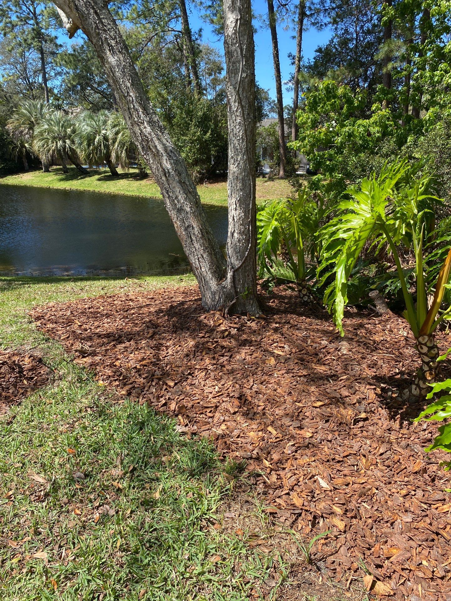 Deerwood Resident | Pine Bark Install by ProGreen Services