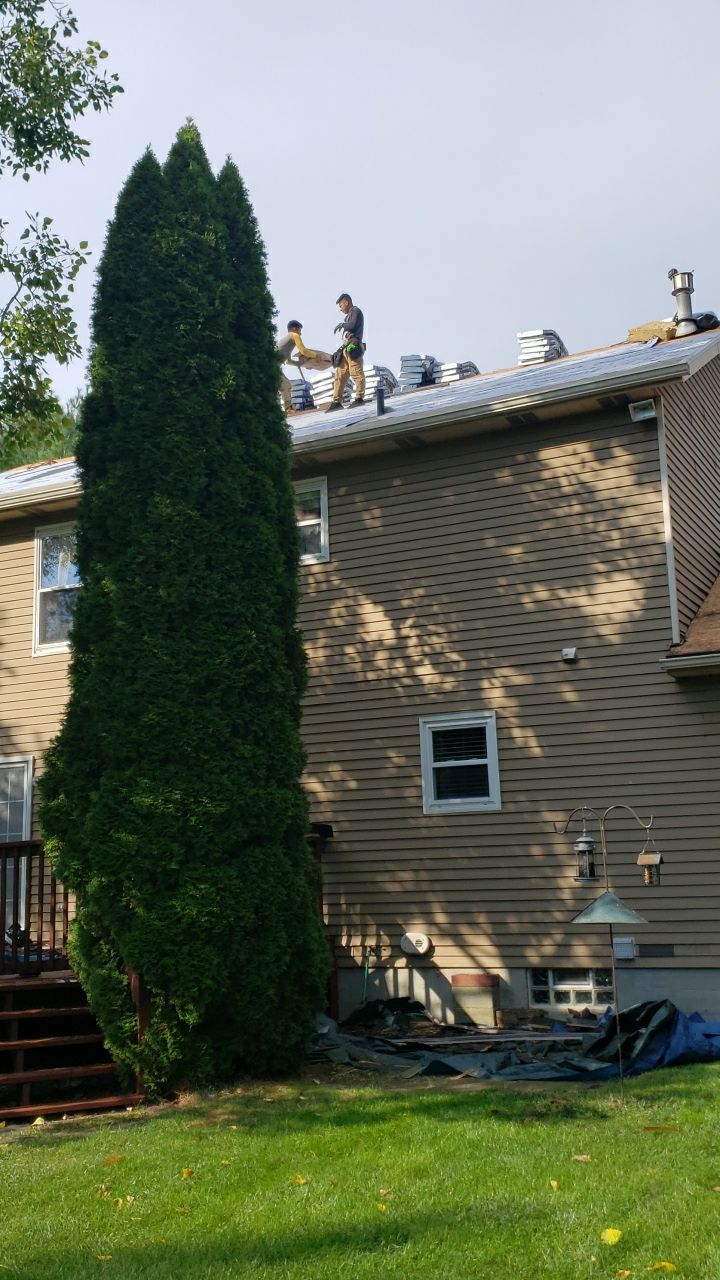 Brand: Atlas Pinnacle Color: Pristine Scotchguard Hickory Drip: Royal Brown by Eagle Eye Roofing