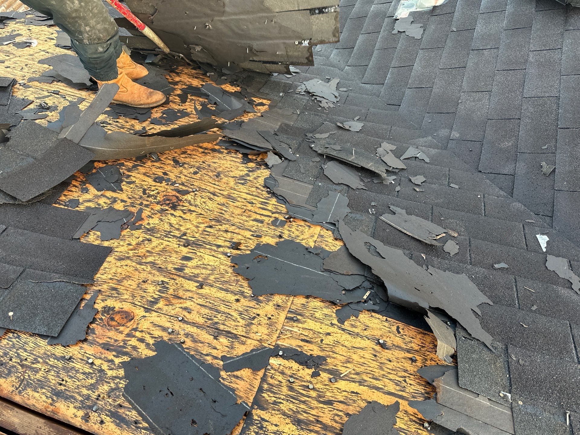 Gaf hdz weatherwood Pearland, Tx by Motion Roofing