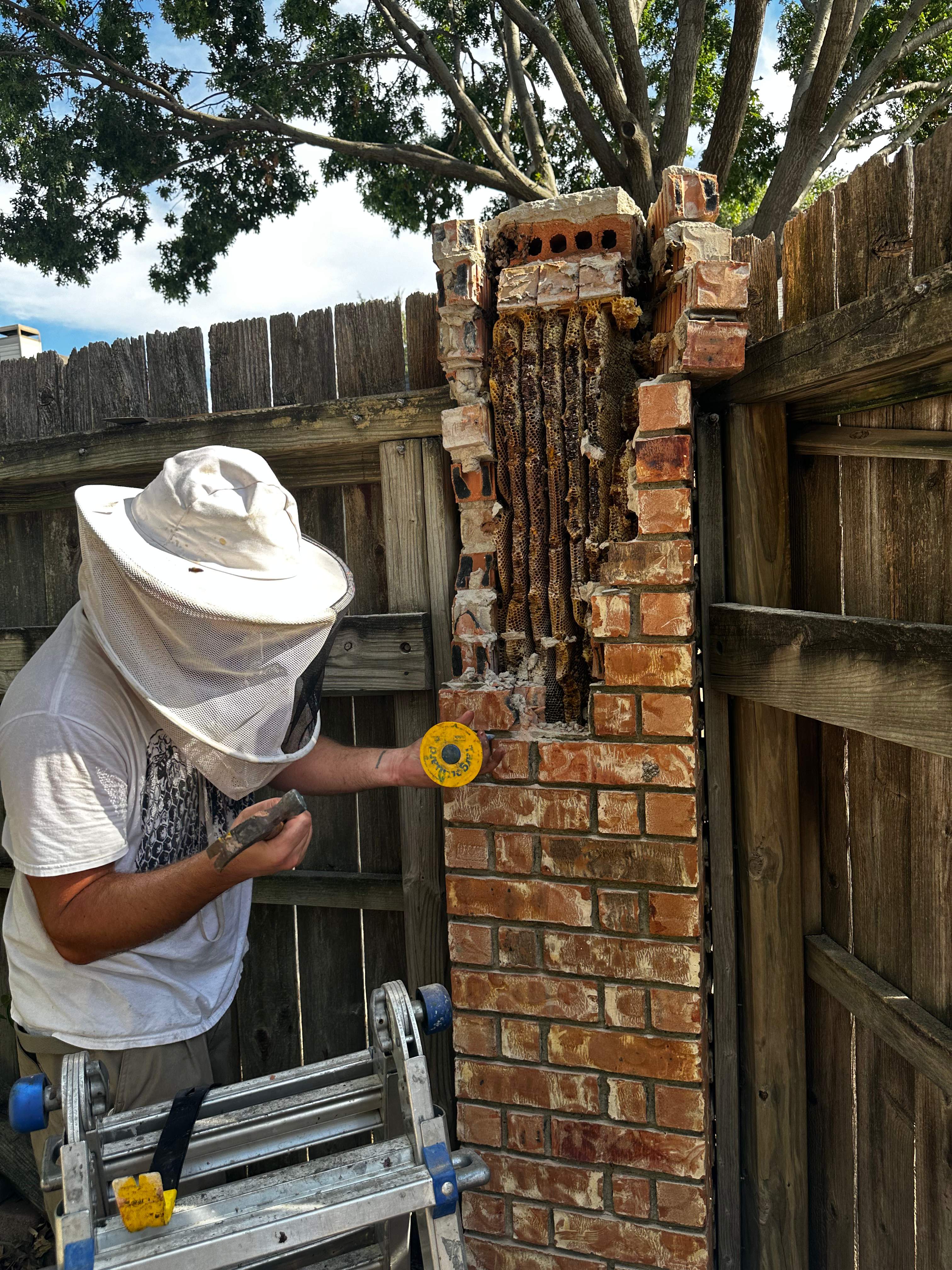 Brick Column by Rockwall Honey Bee Company