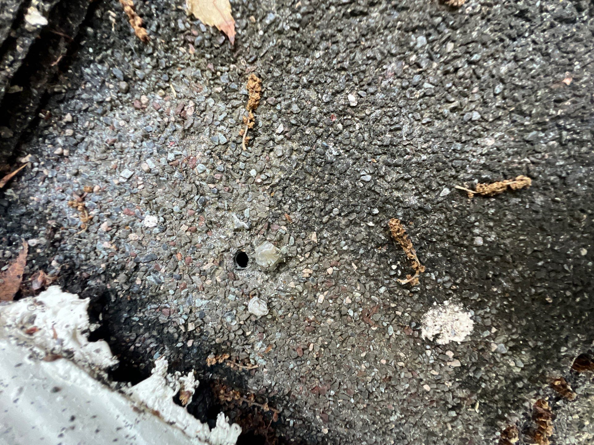 Roof Repair Sugarland by Roof Repair Services LLC