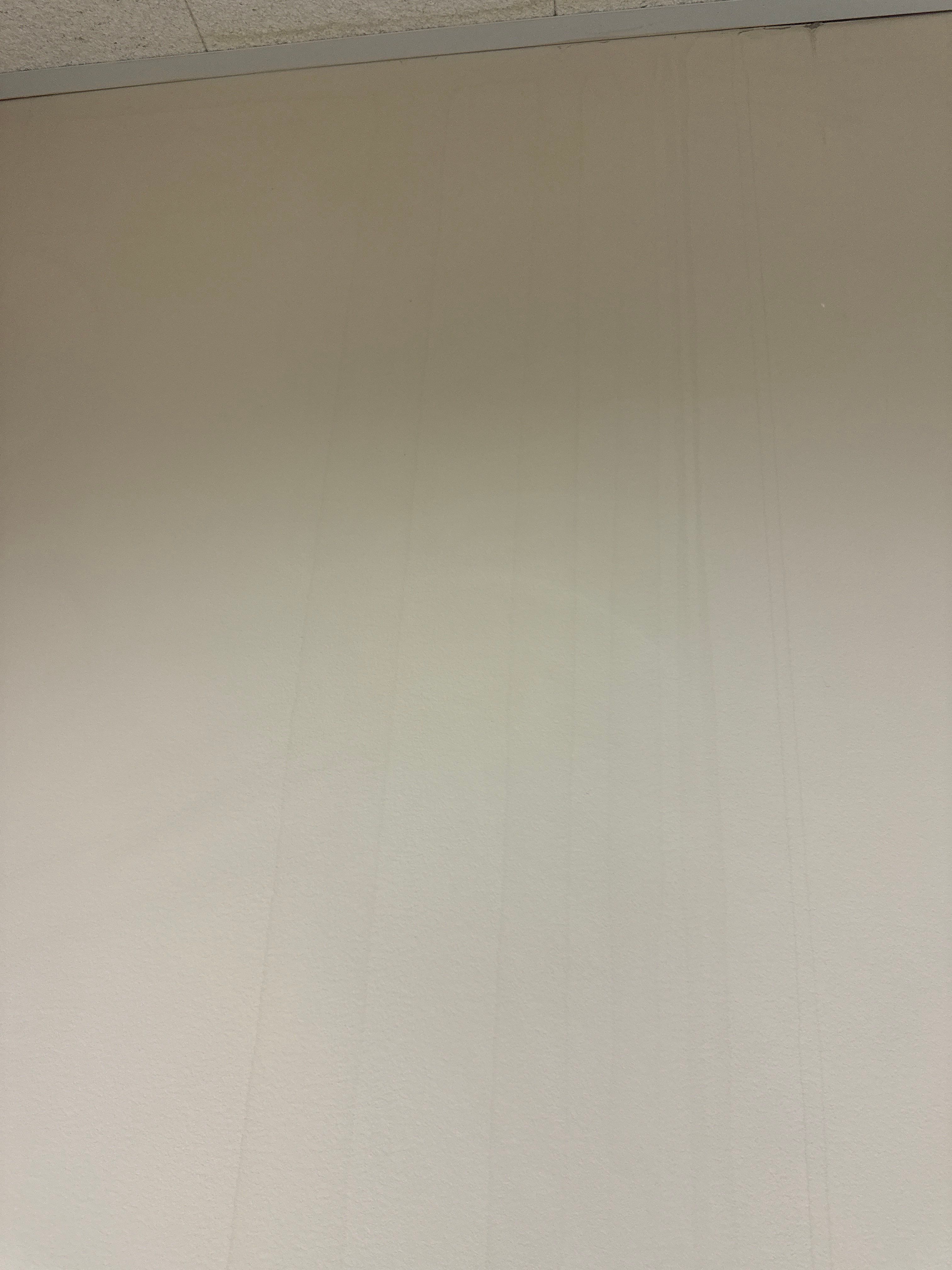 Mold Remediation Fairfield NJ by Pure Service Pro, LLC 