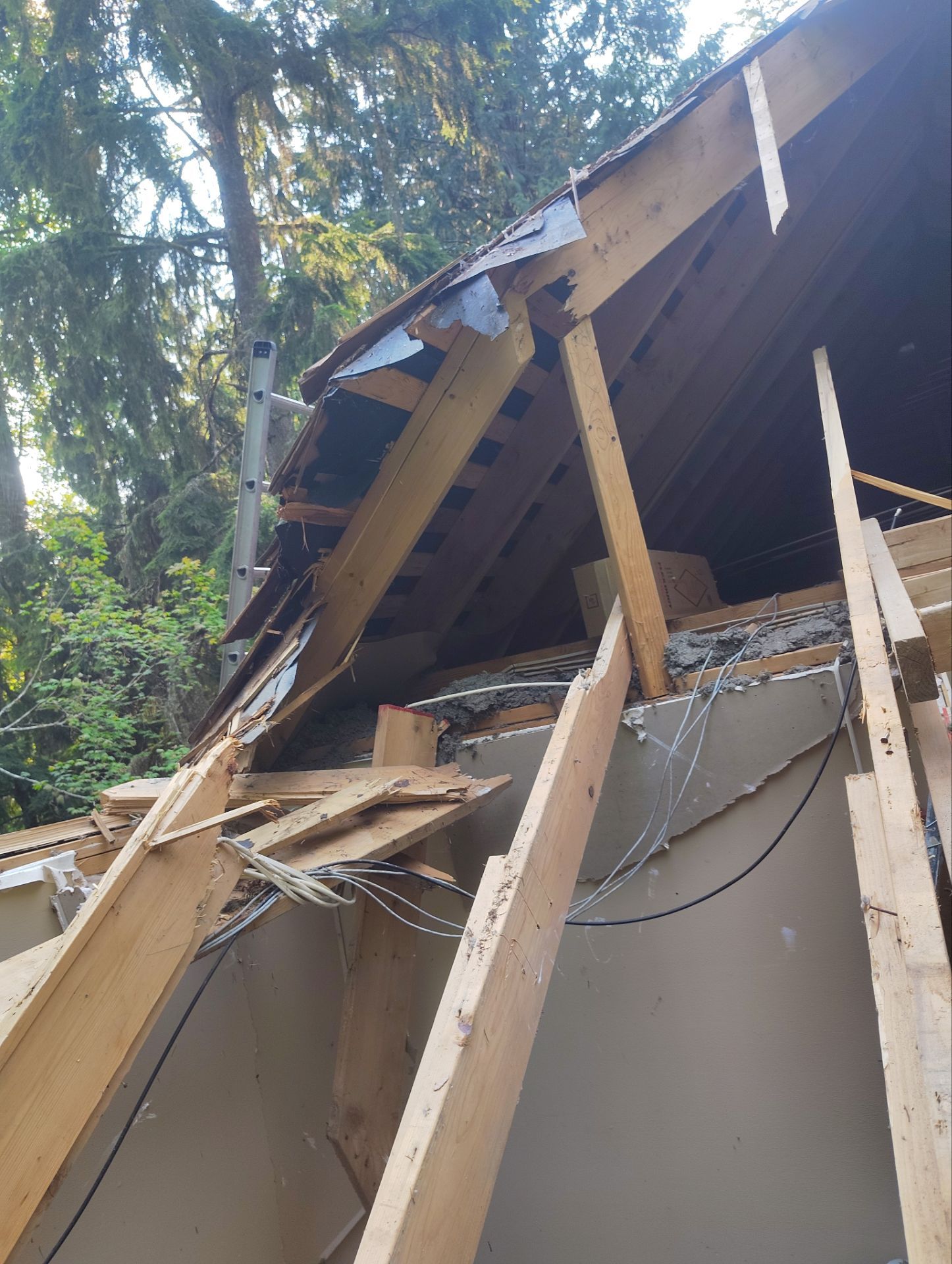 Tree Strike Repair - Issaquah by RoofSmart