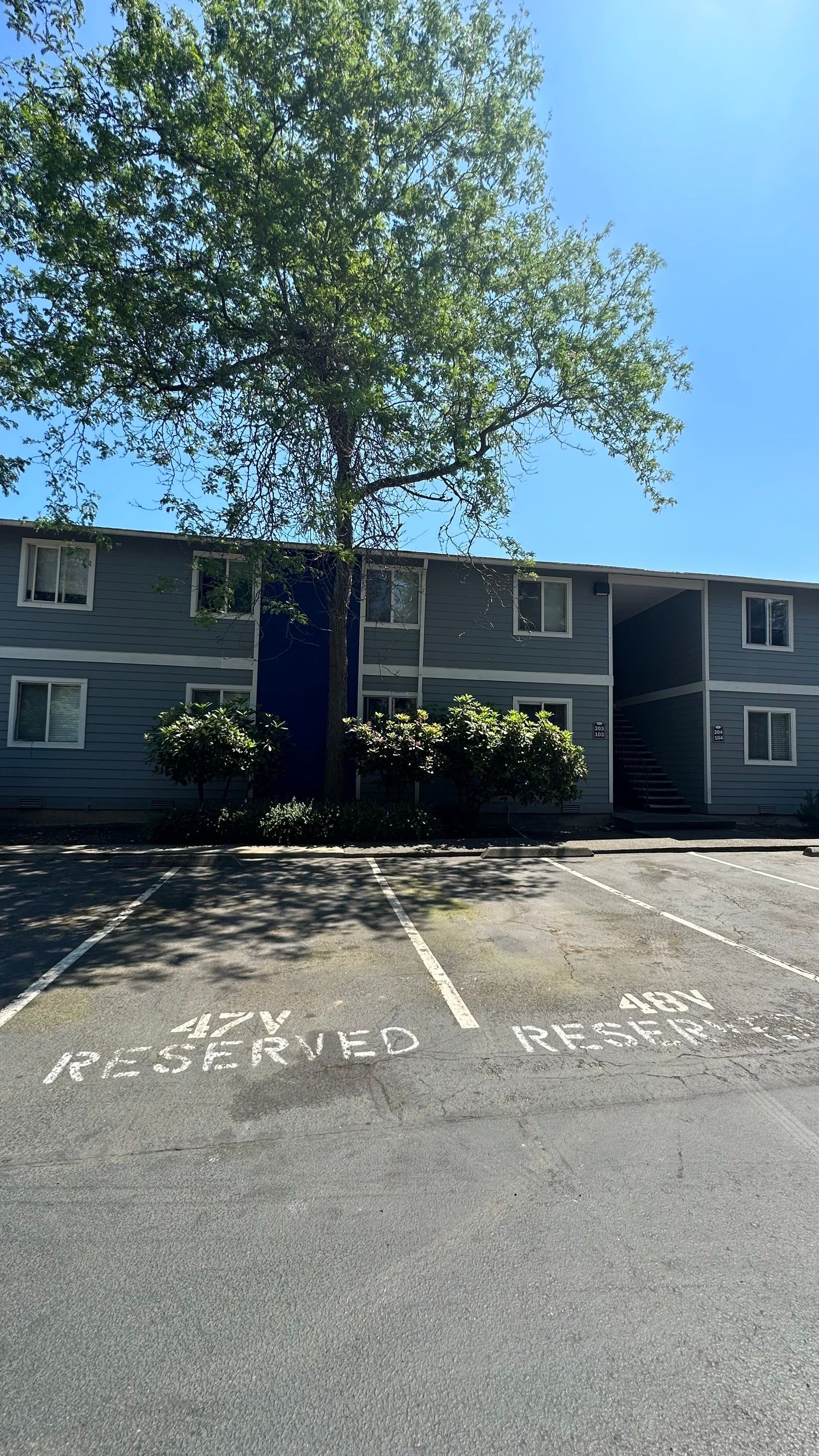 Chaz | Driveway Repave, Asphalt Project  by Jireh Asphalt & Concrete Inc 