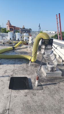 Commercial Wood Fired Pizza Oven Cleaning for Disney