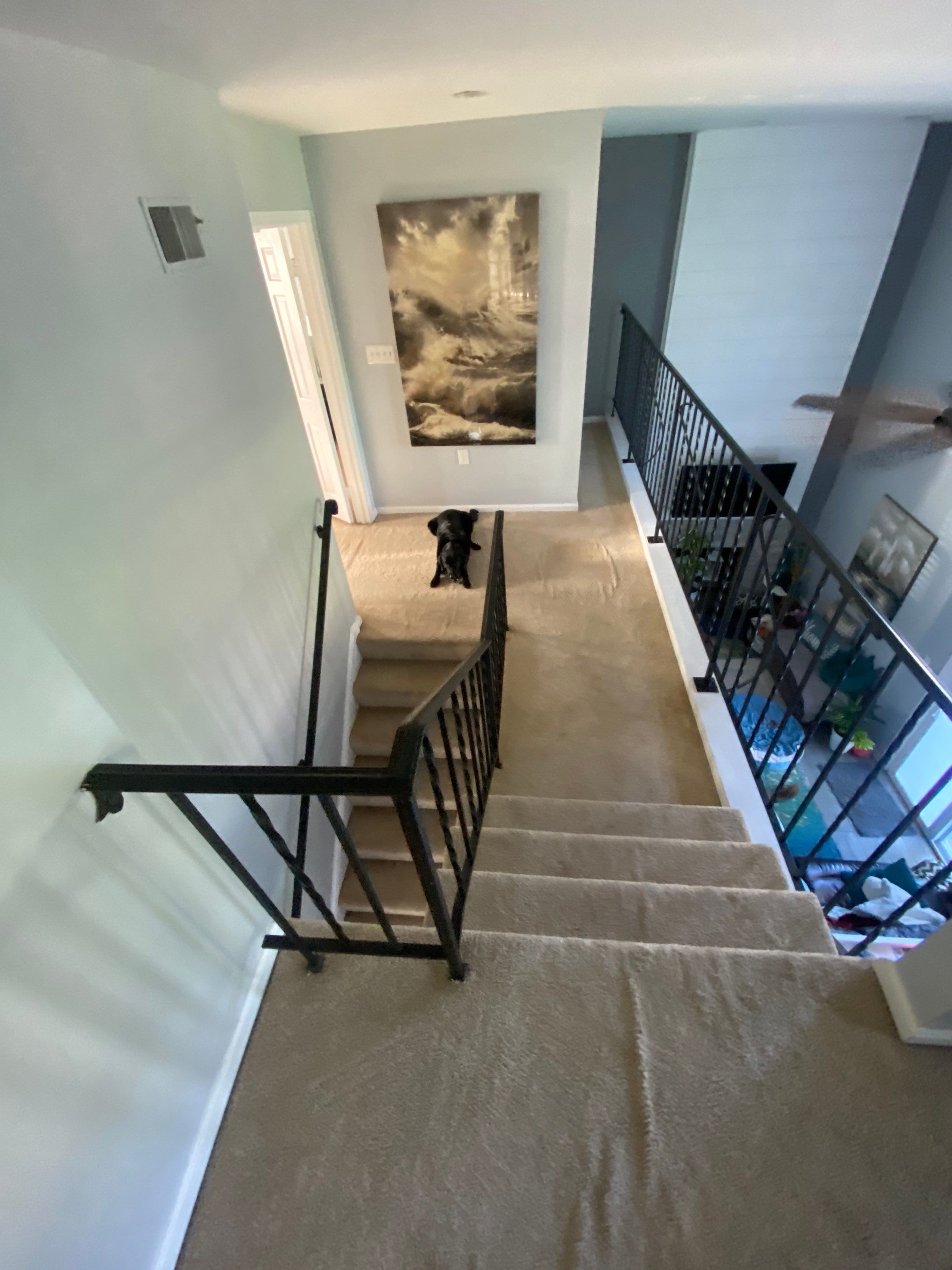 LVP flooring install by The Smet Companies, LLC