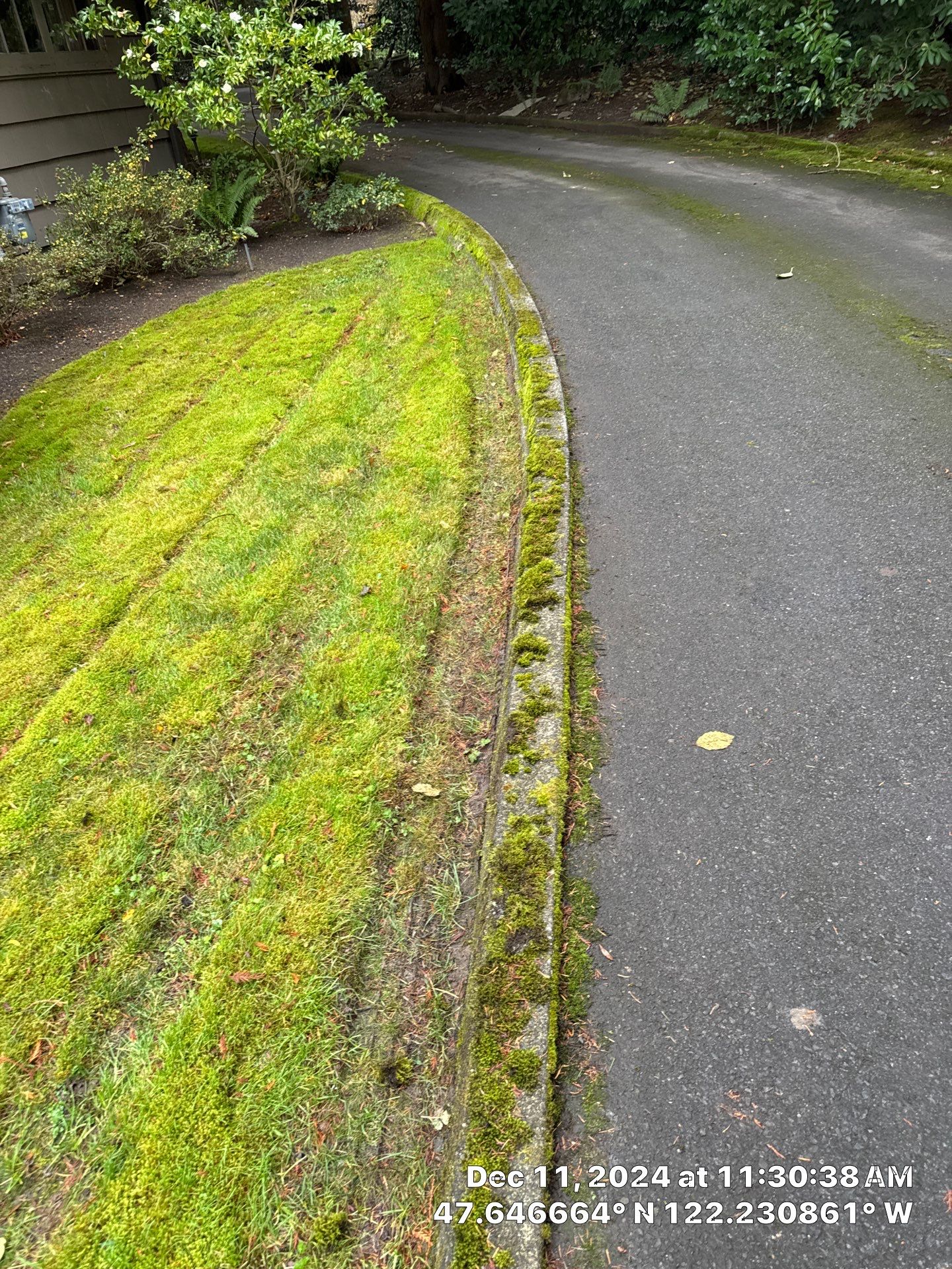 Asphalt Patch Repair | Bellevue  by Jireh Asphalt & Concrete Inc 