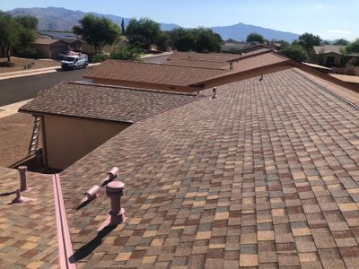 Amber Shingles