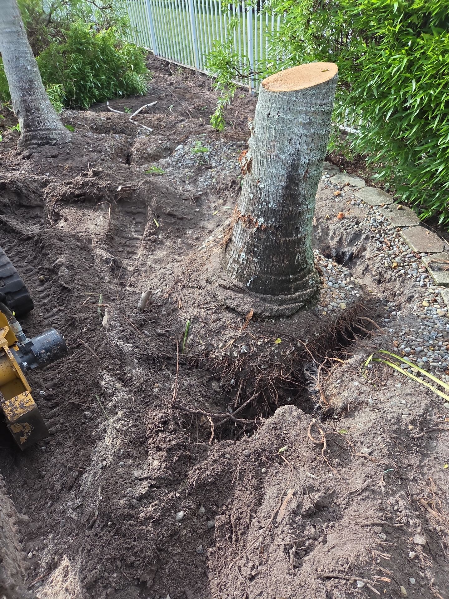 Hammock Creek Estate | Phase 1 – The Art of Precision Removal by Alpha Zeta Enterprises Inc